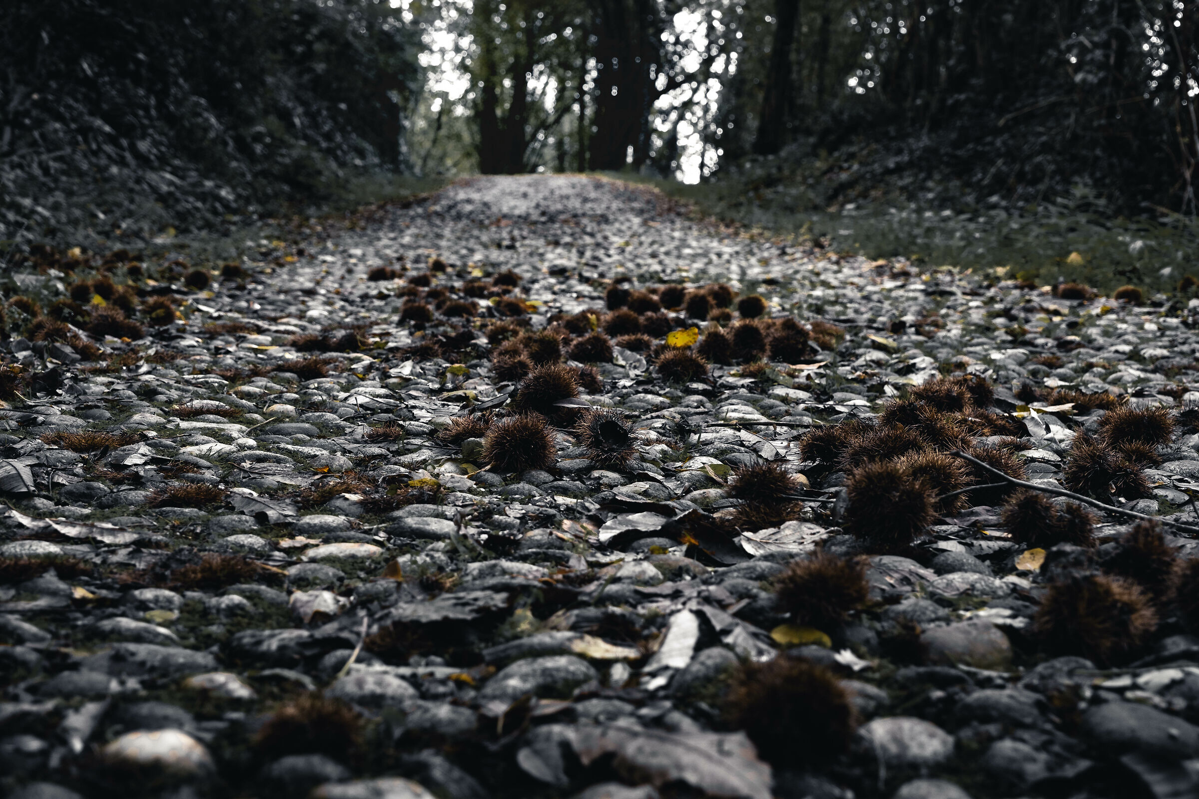 autunno brianza