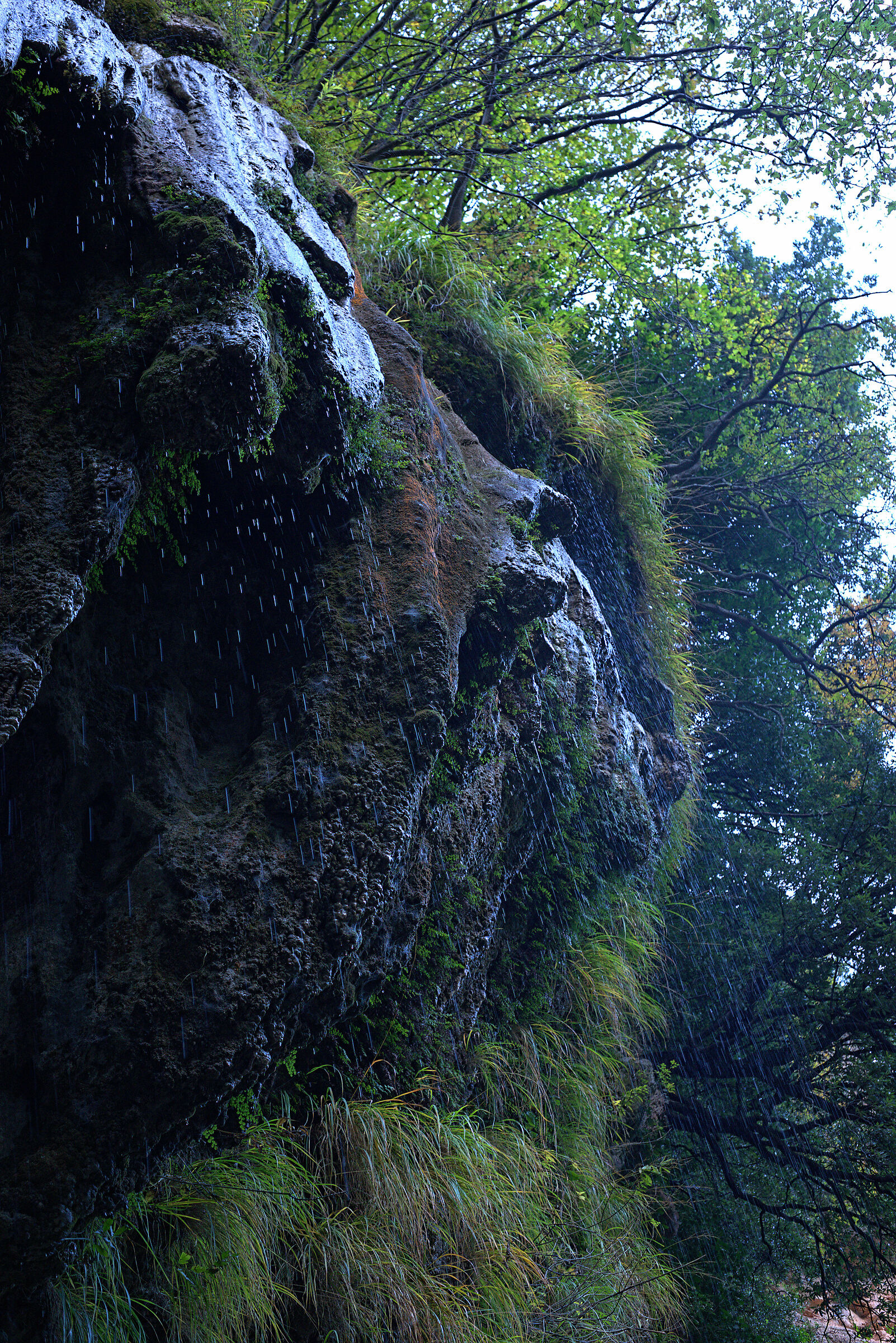 Rio Terro