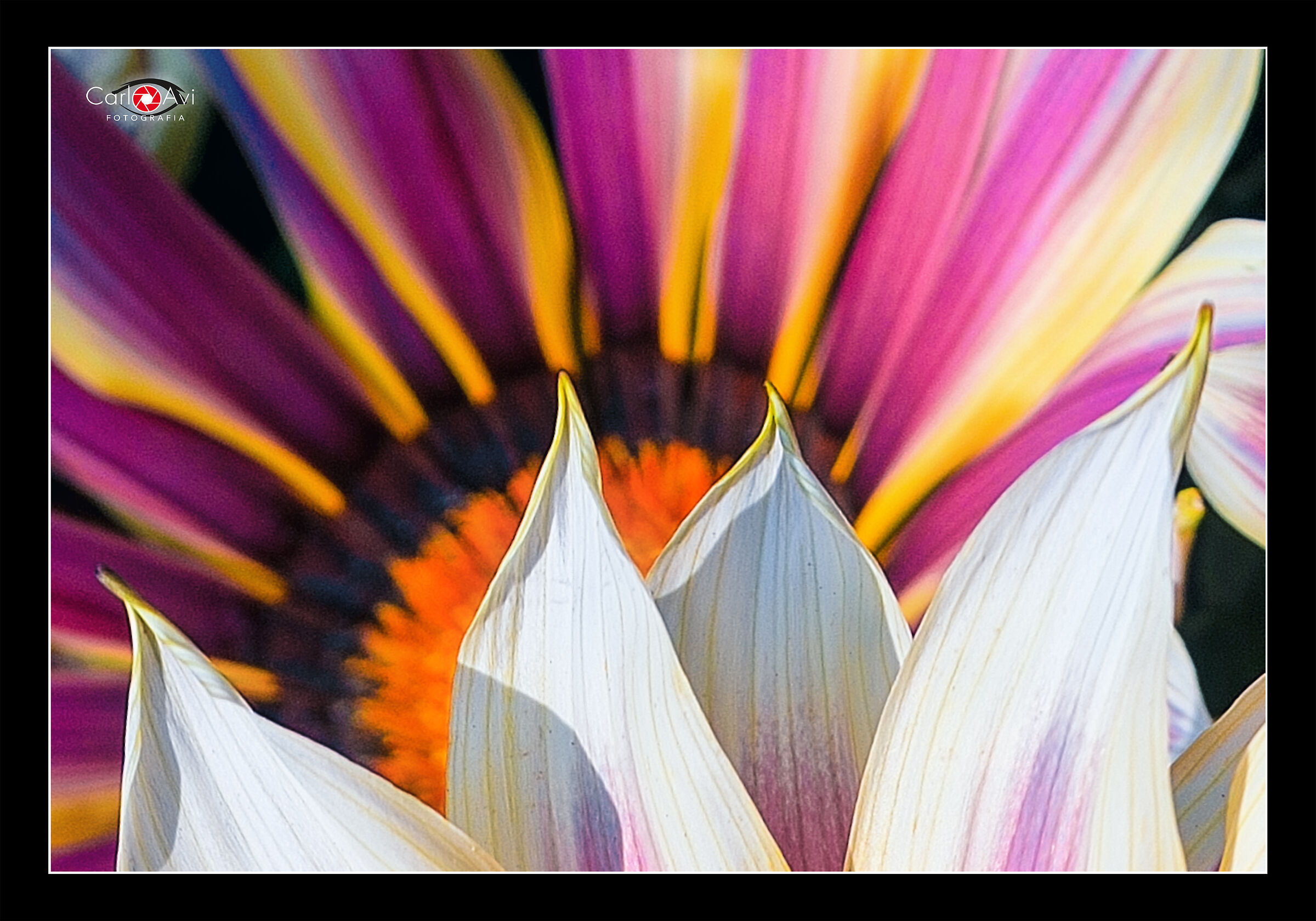 aspettando la primavera