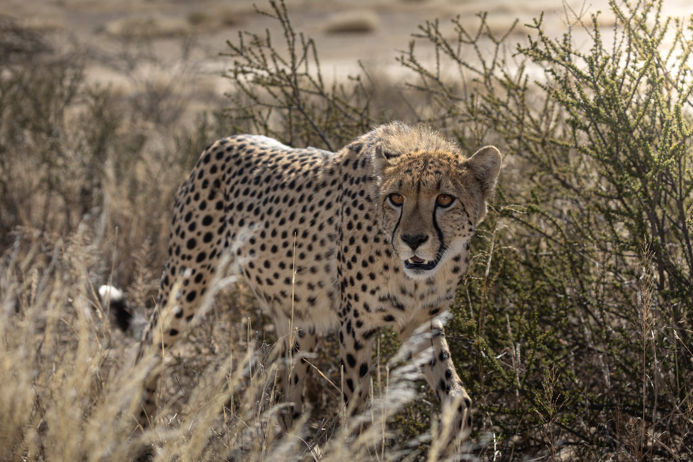 Incontro ravvicinato… del quarto tipo