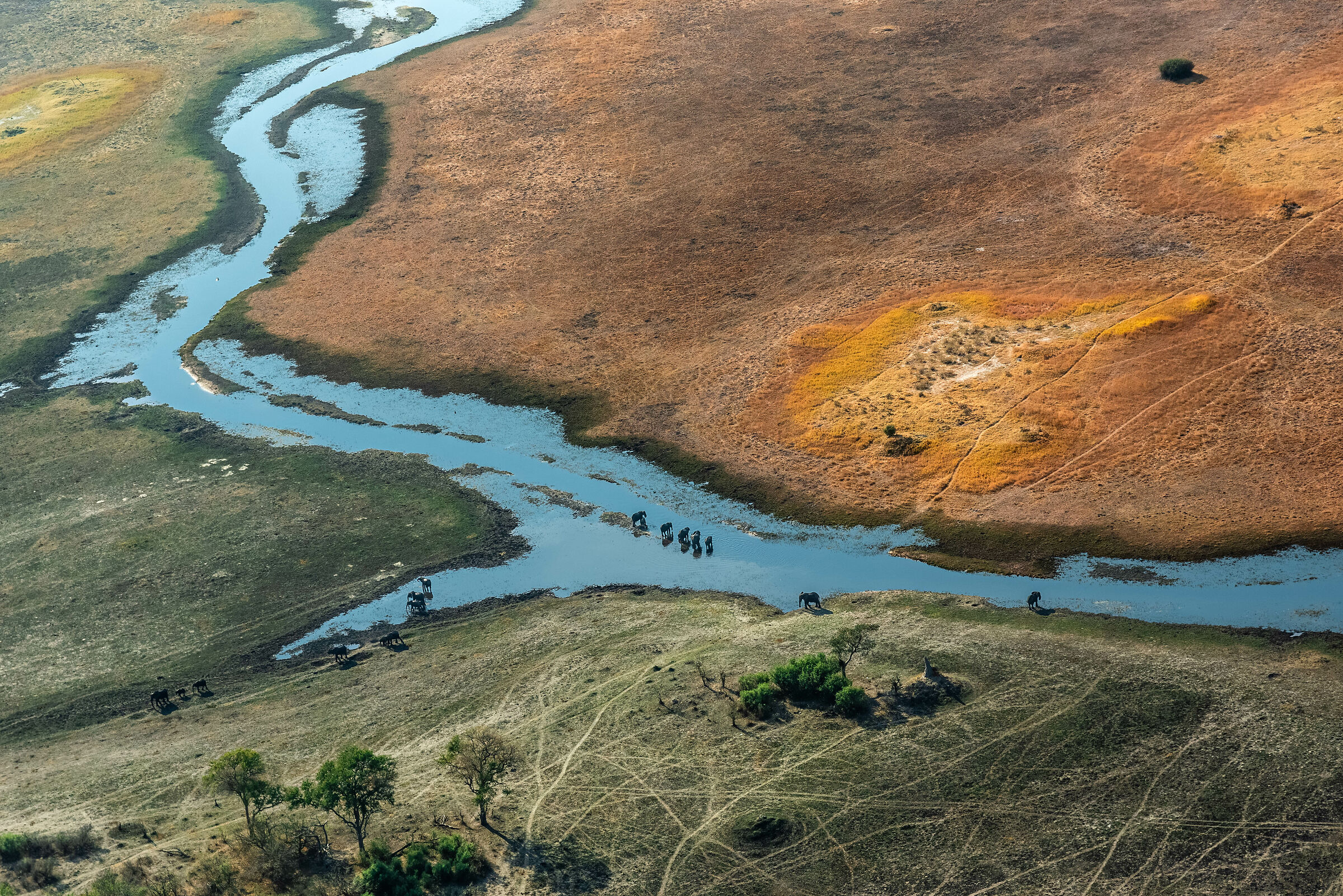 Okavango Delta