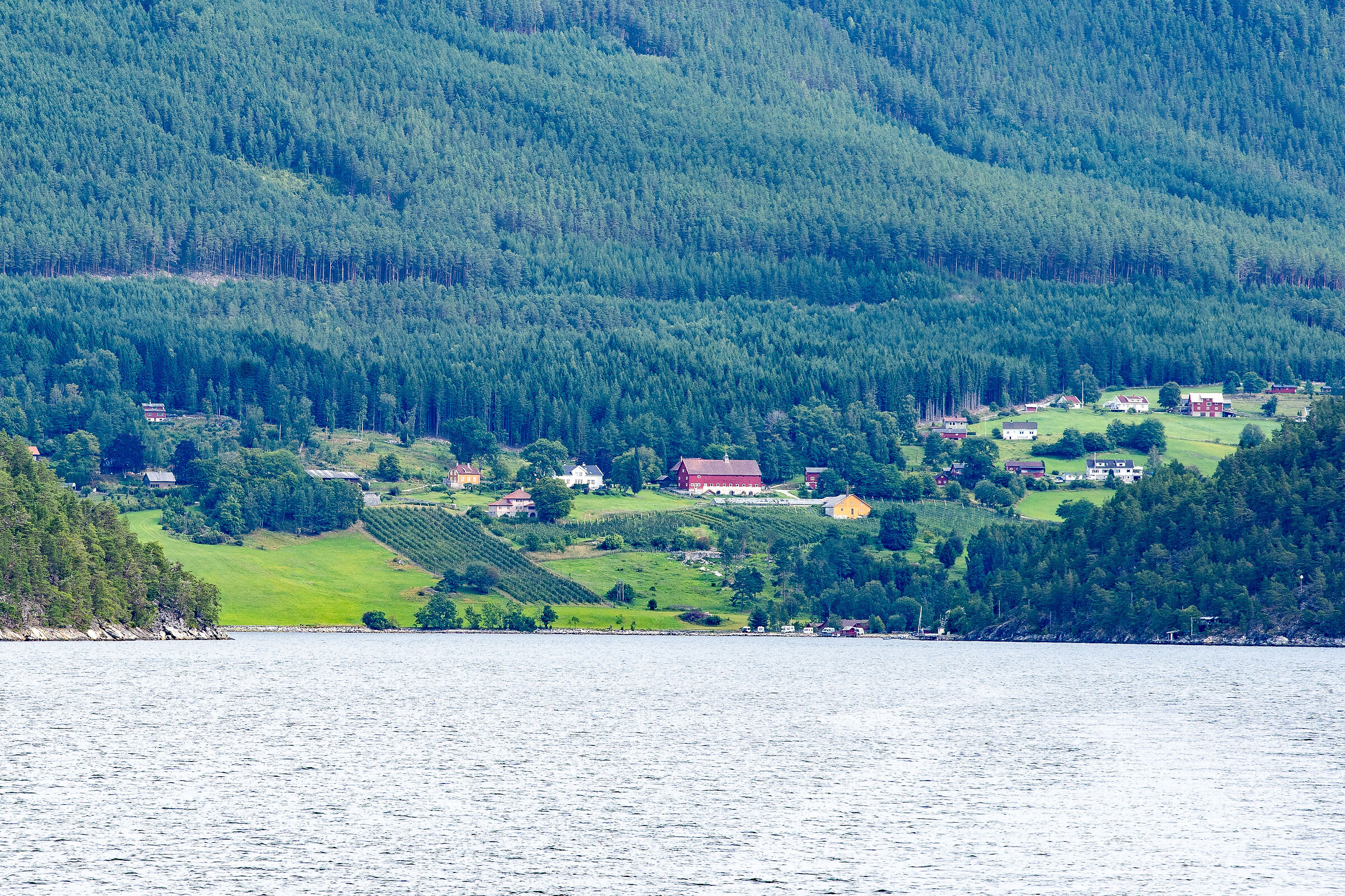 navigando sul Sognefjord