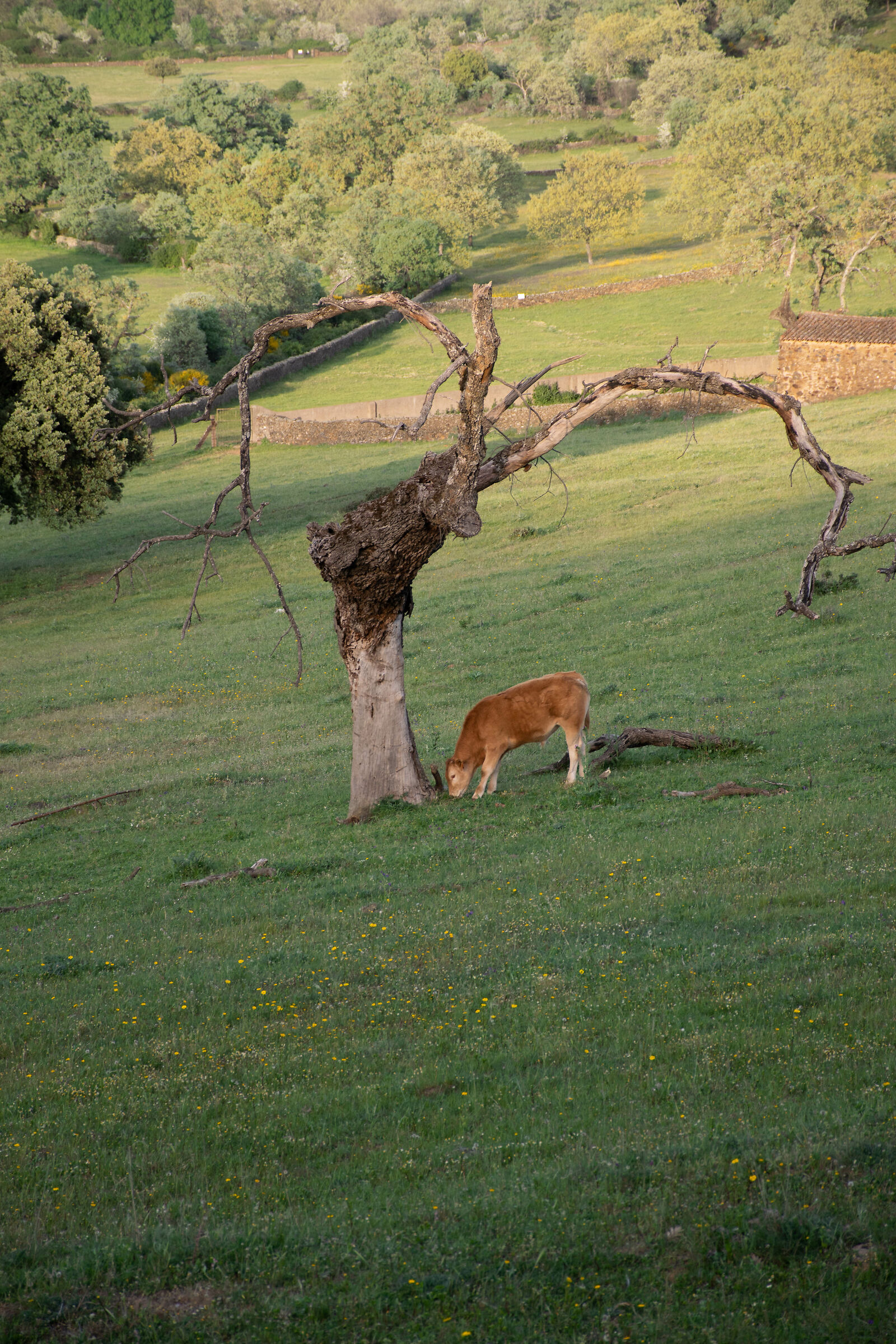 Nuove e vecchie generazioni