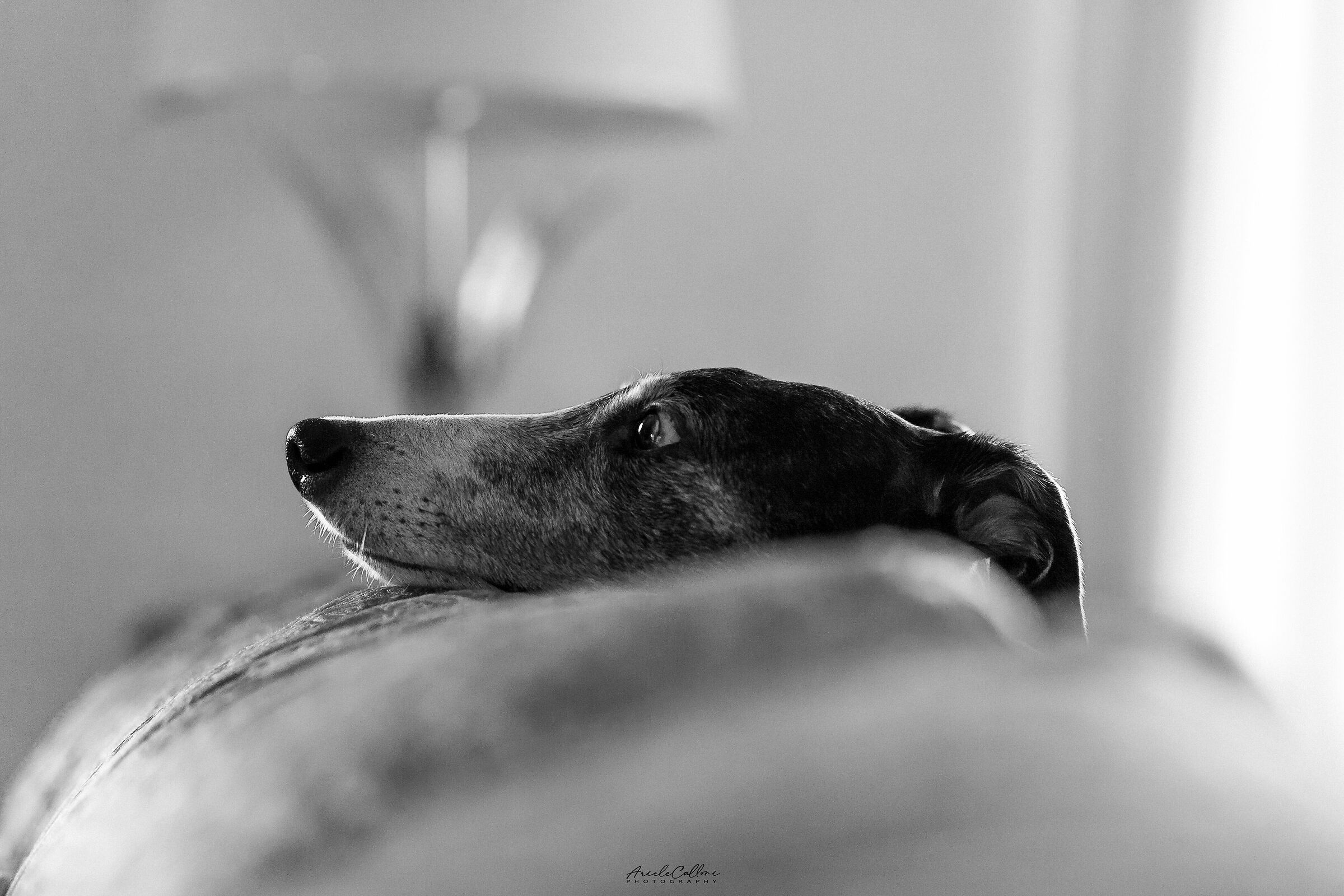 I'll check you out from here!