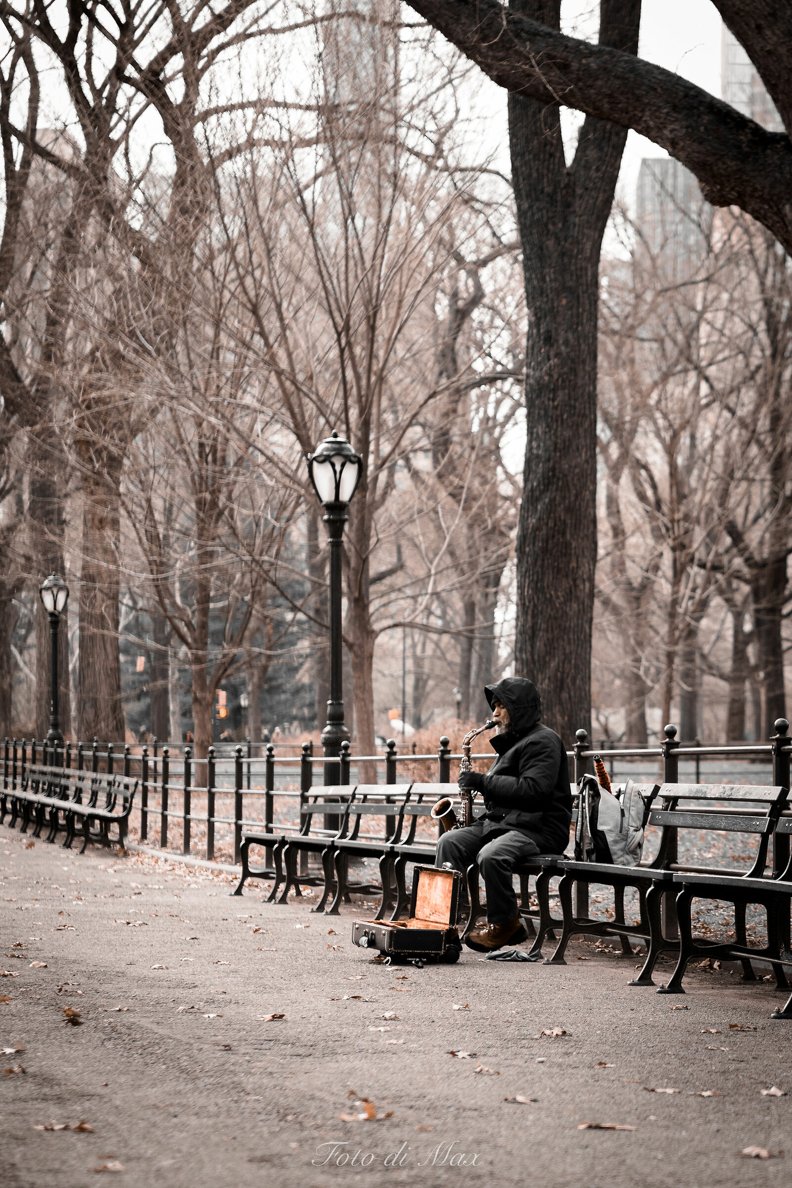 sound of Central Park