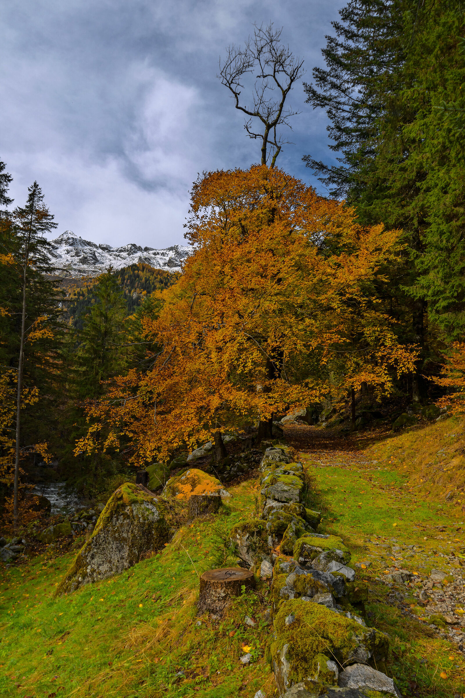 Autumn 1