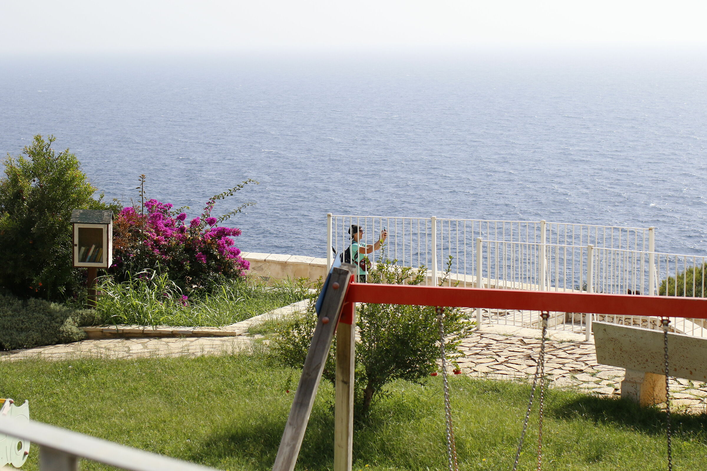 Milvus Zeiss 50, 1.4 - Canon 7 D II