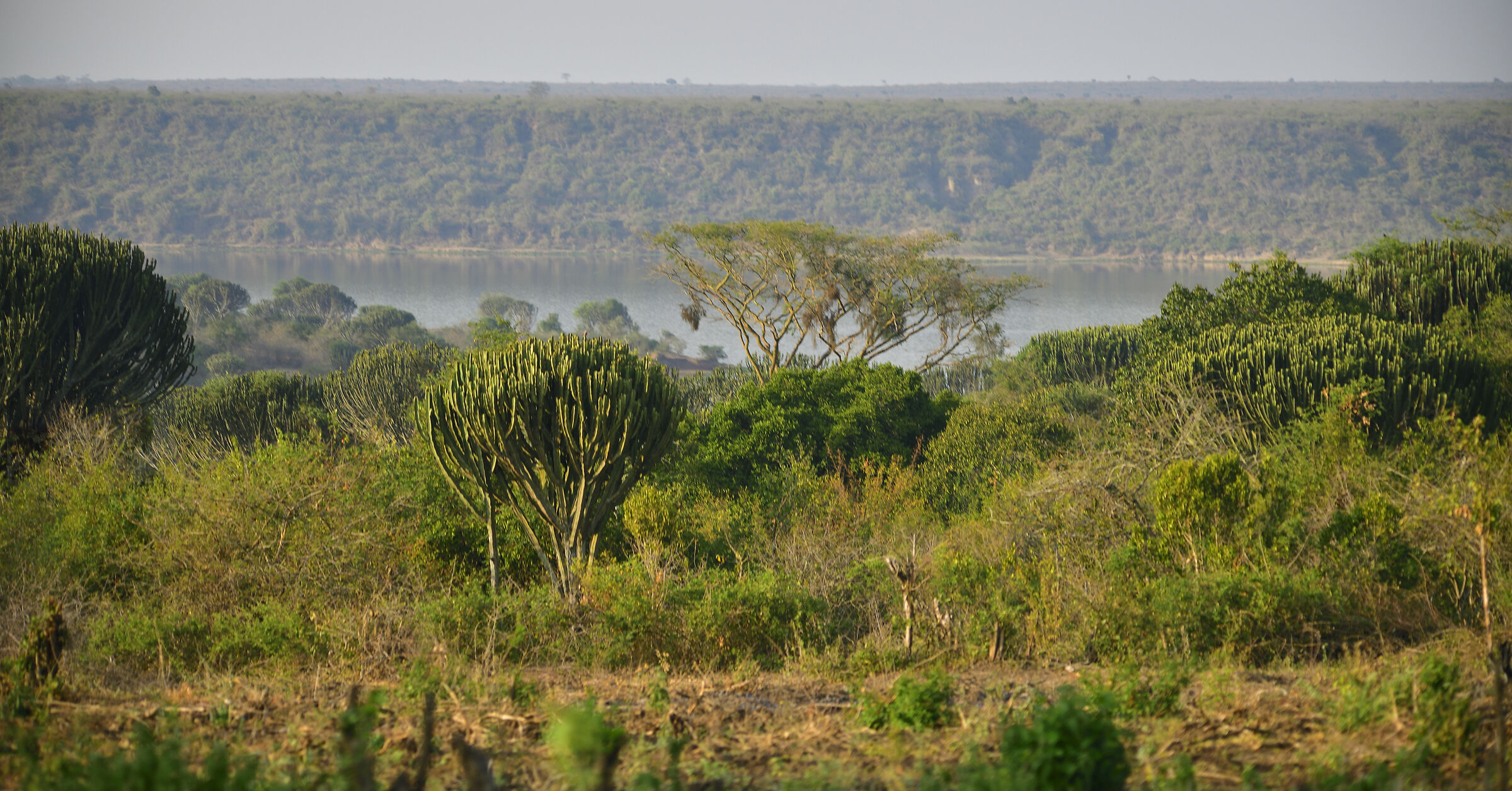 Natura in Uganda