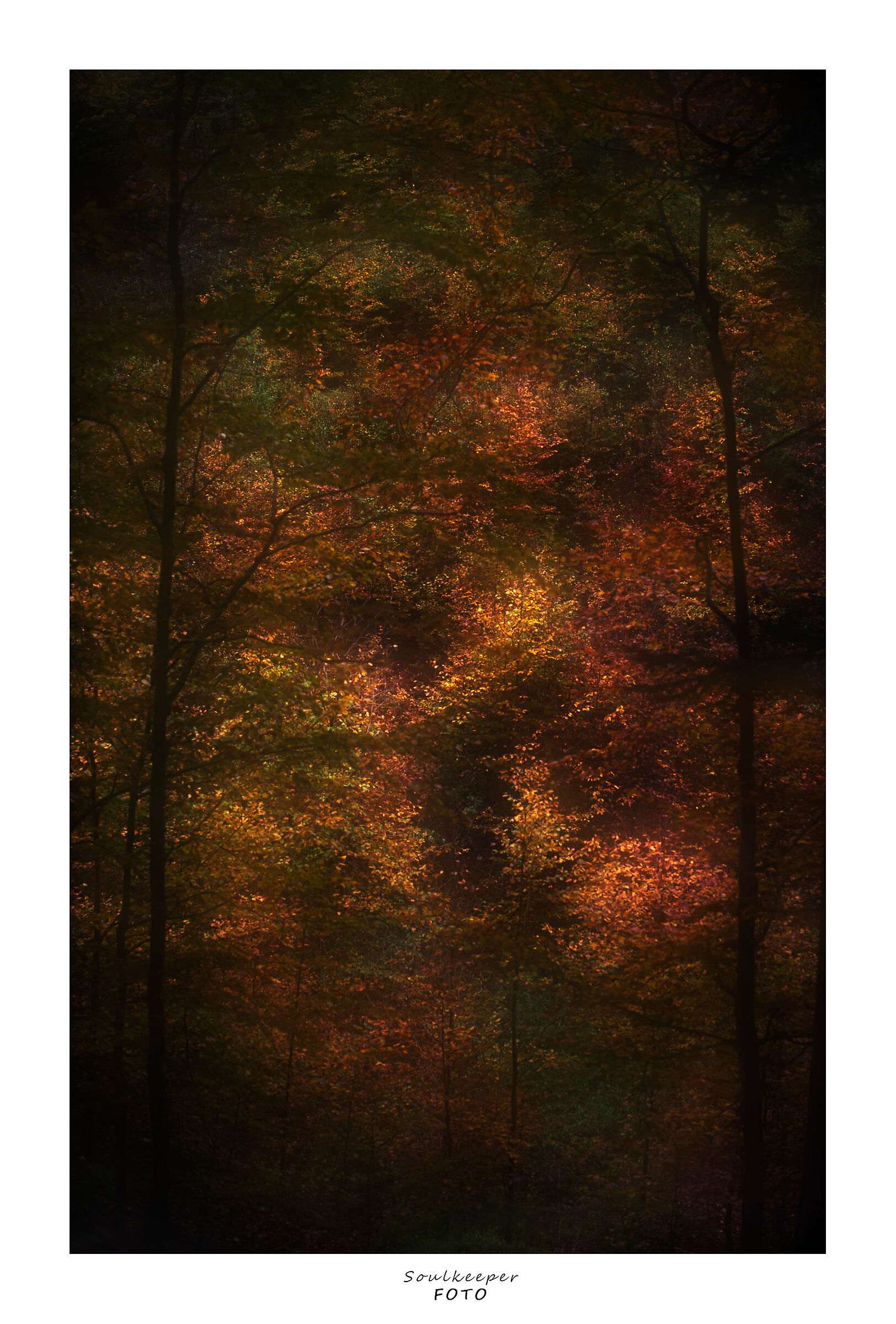 Una carezza dall'ultima luce.