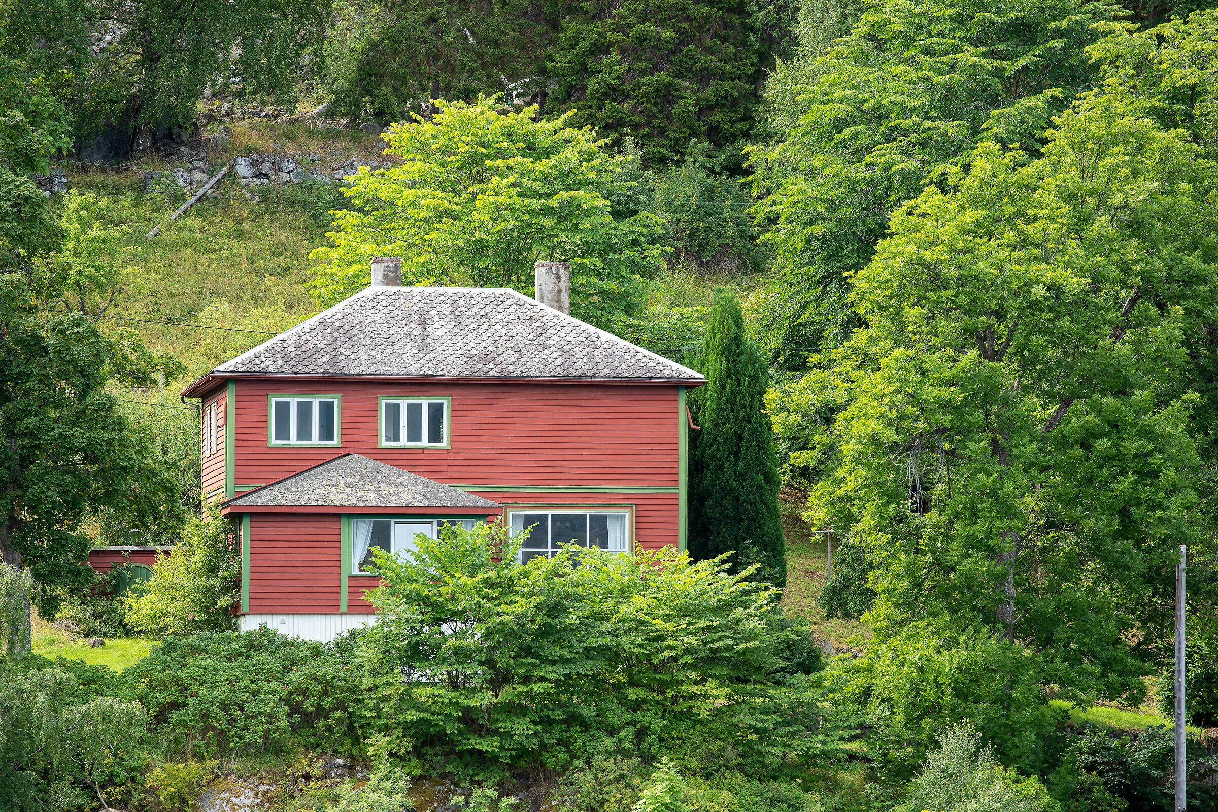 navigando sul Sognefjord