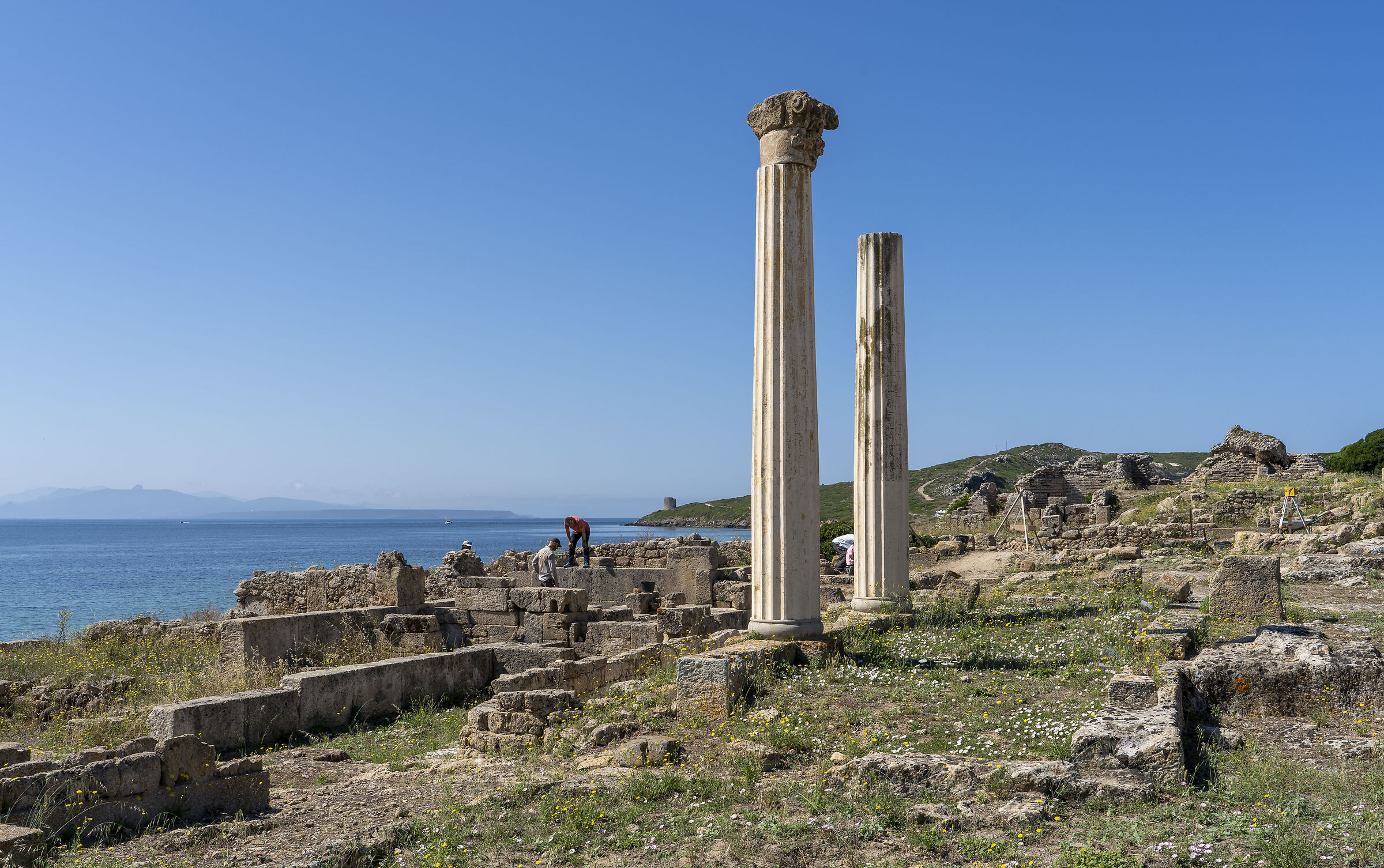 Archeologi all'opera