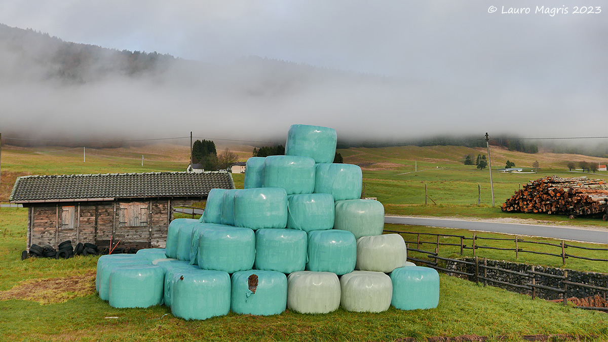 Bales on the plain