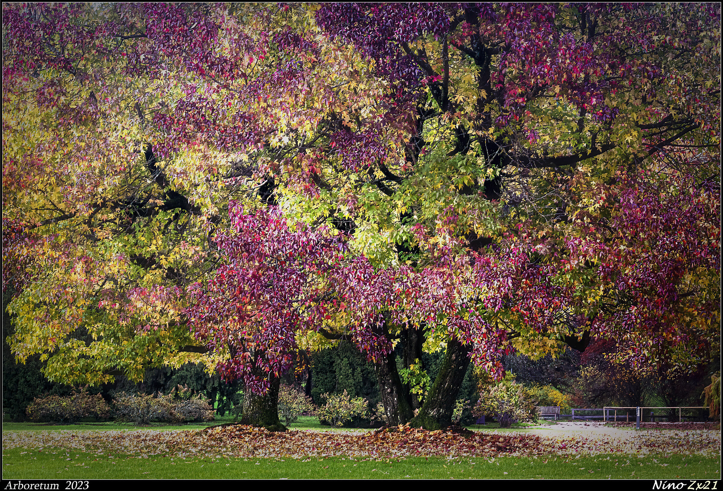 Arboretum 2023
