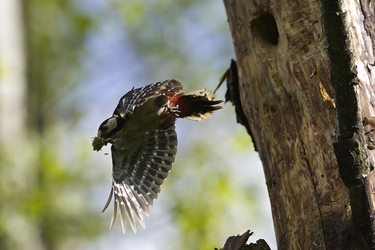 Beats and beats ... I gotta run!