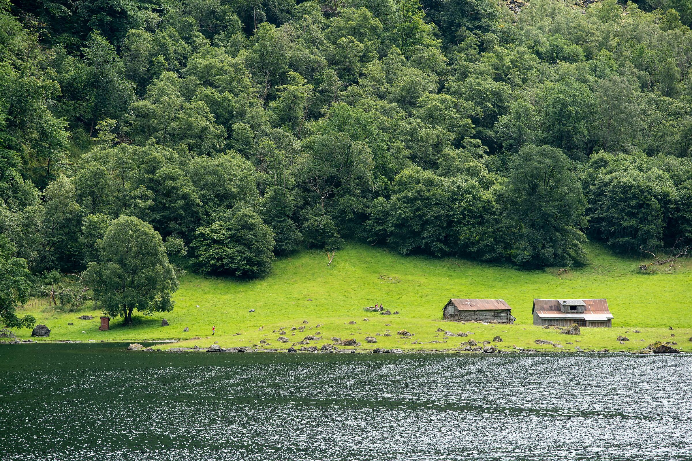 navigando sul Sognefjord