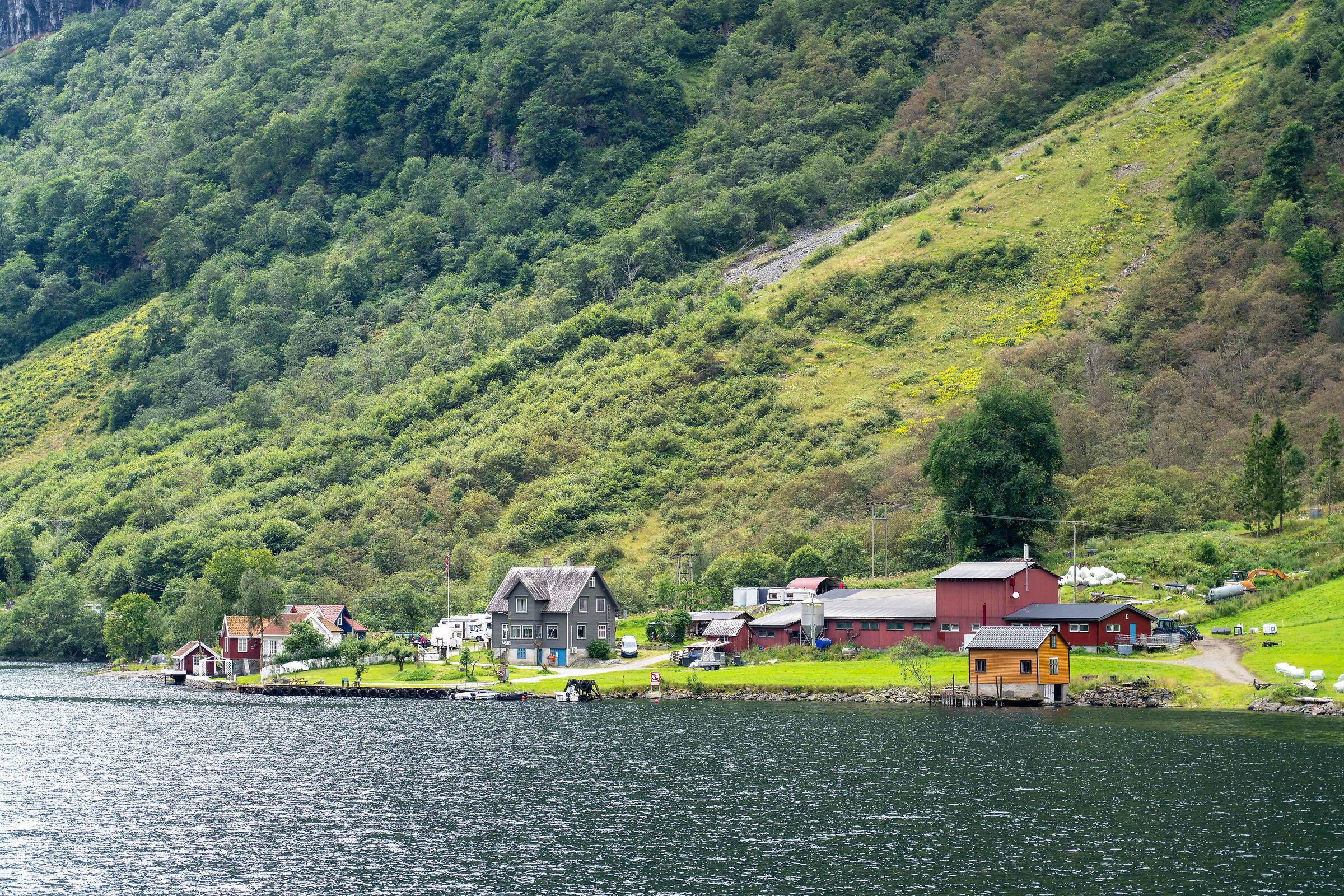 navigando sul Sognefjord
