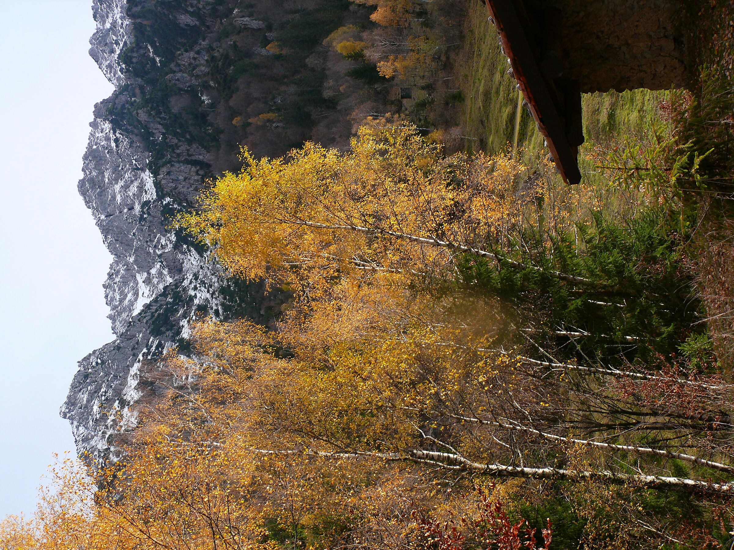 Autumn with snow on the mountain