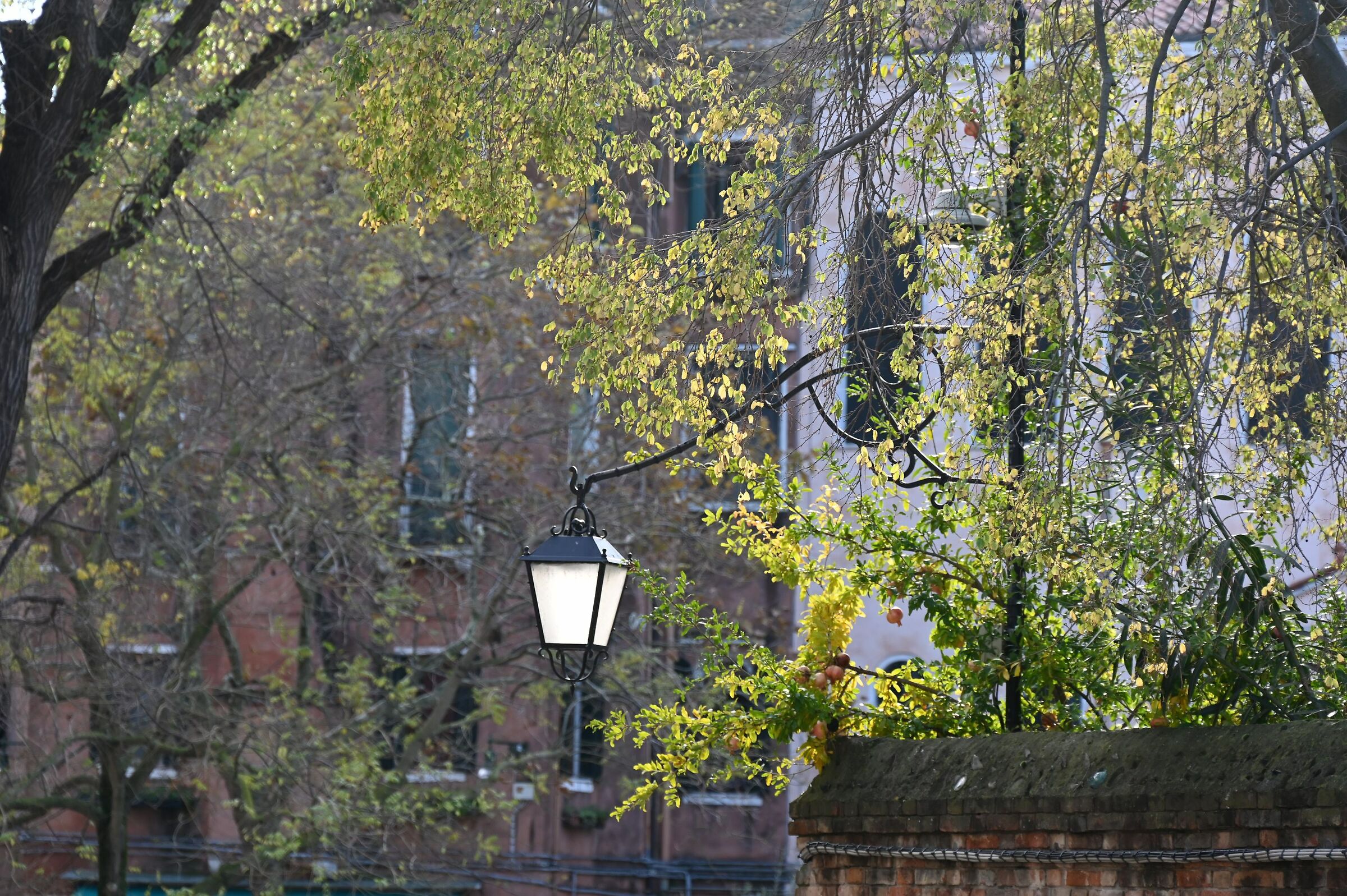 Ghetto di Venezia 10.11.23