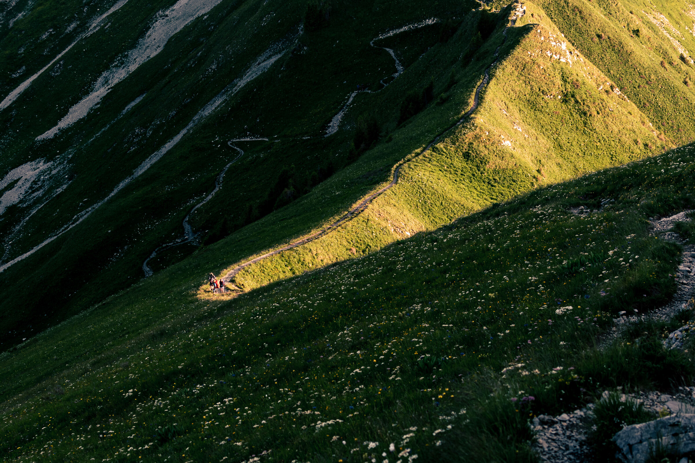 Climbing in the light