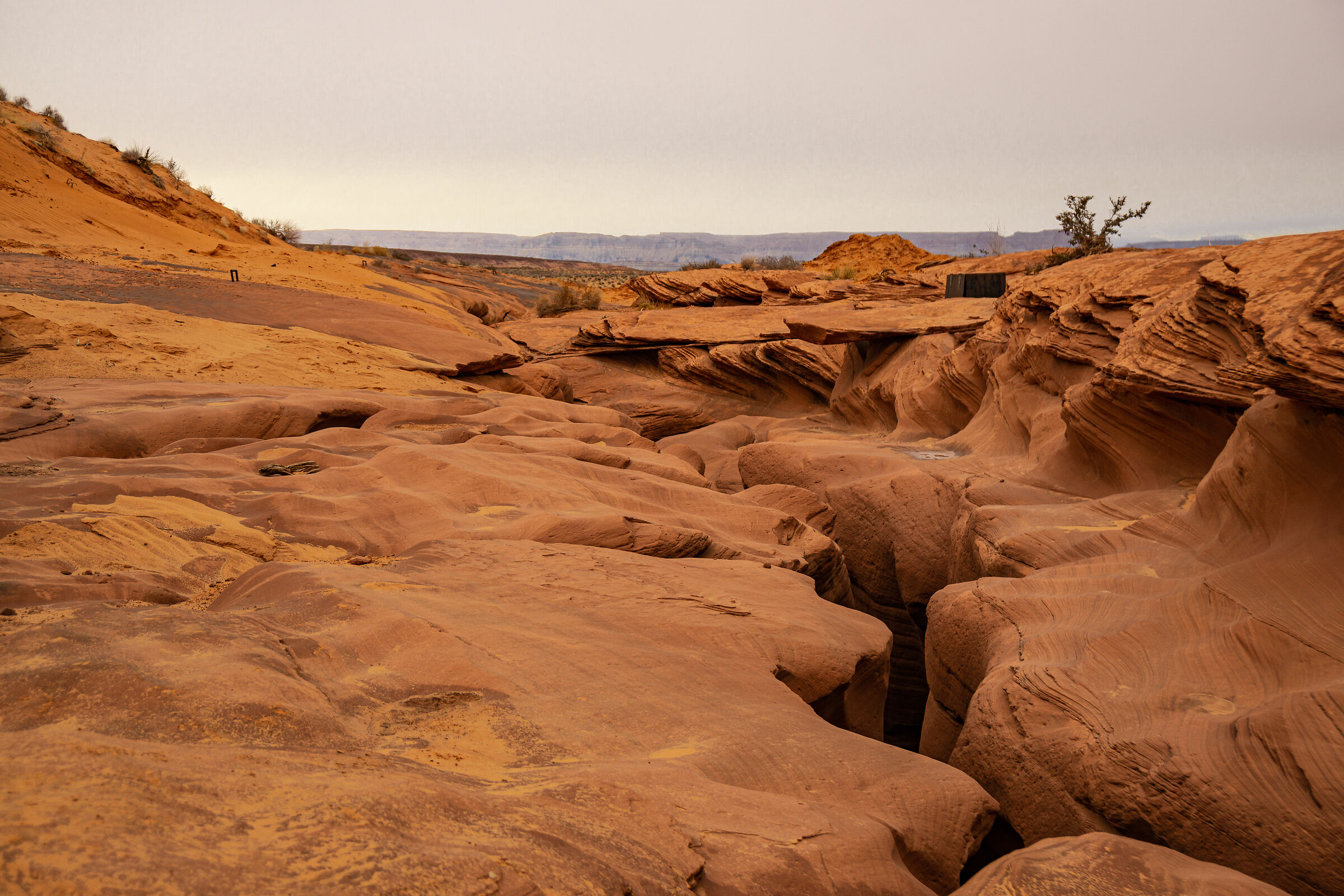 Antelope canyon lower (vista dall'alto)