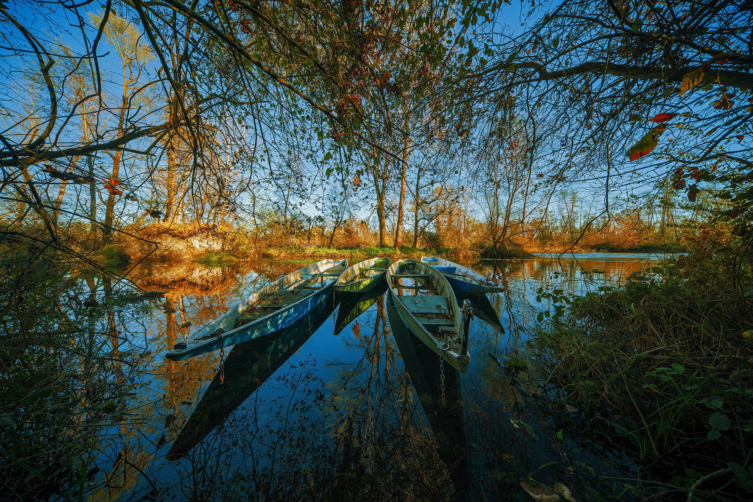L'autunno è una dimora d'oro e di pioggia