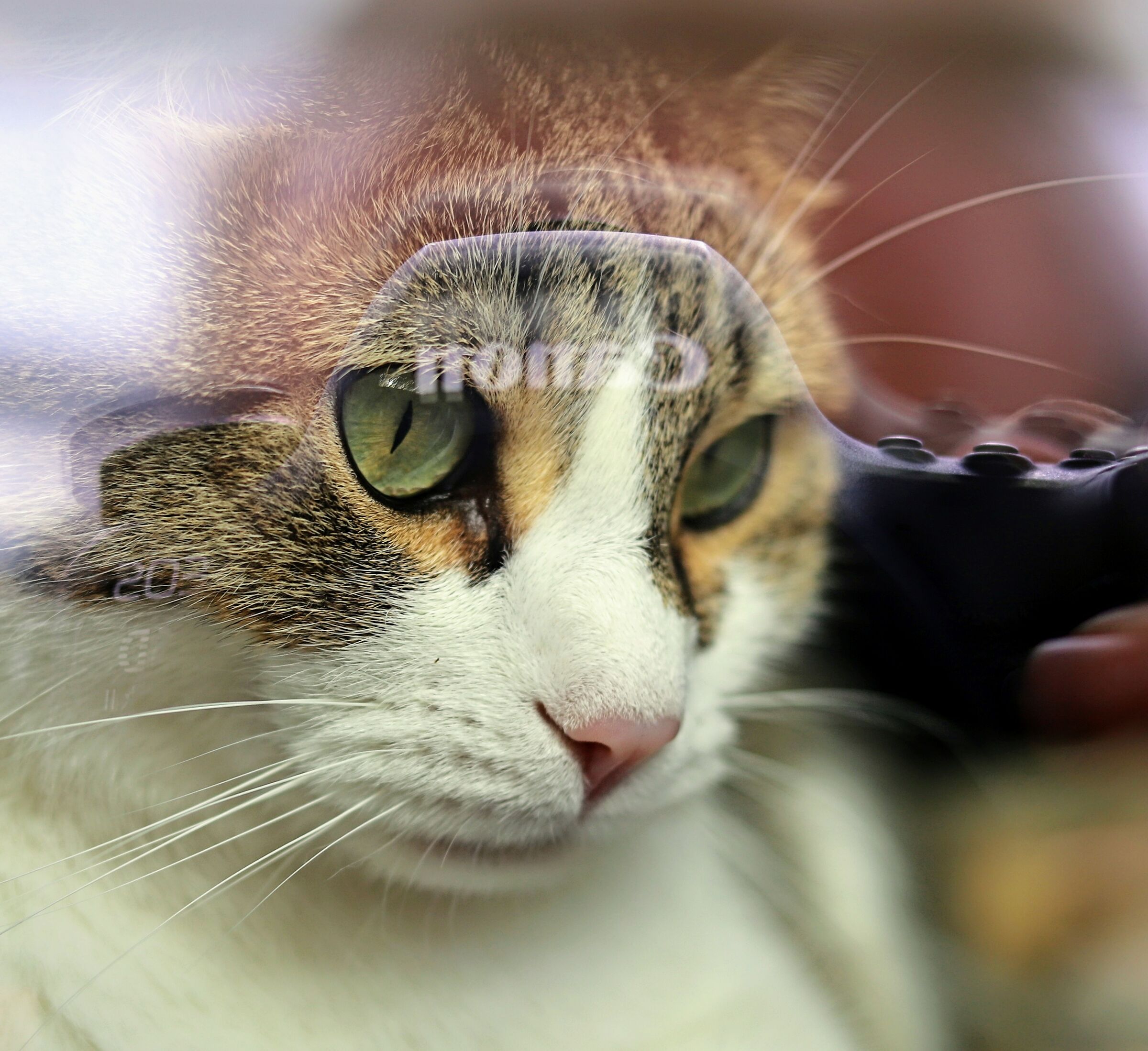 Uffa ancora.....!!!!!