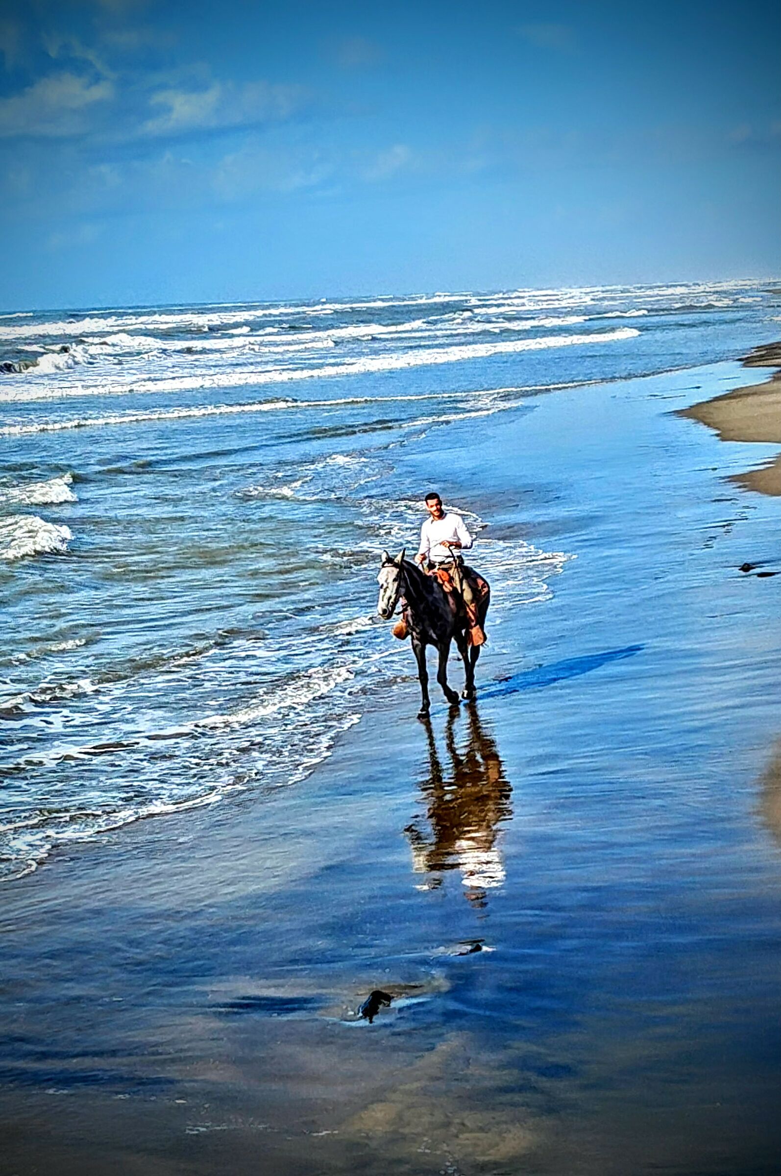 Horseback riding on the water