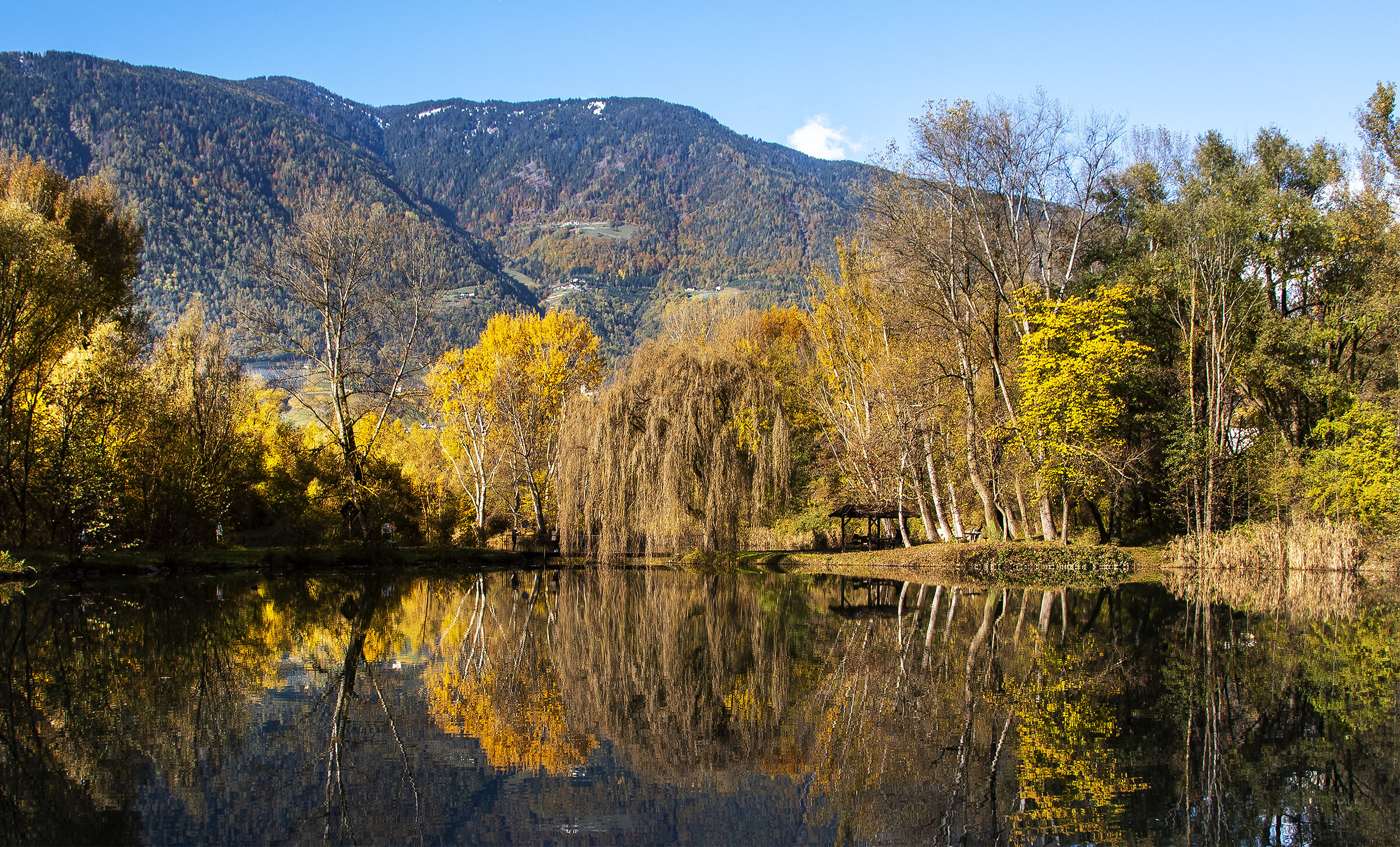 Autumn at the biotope