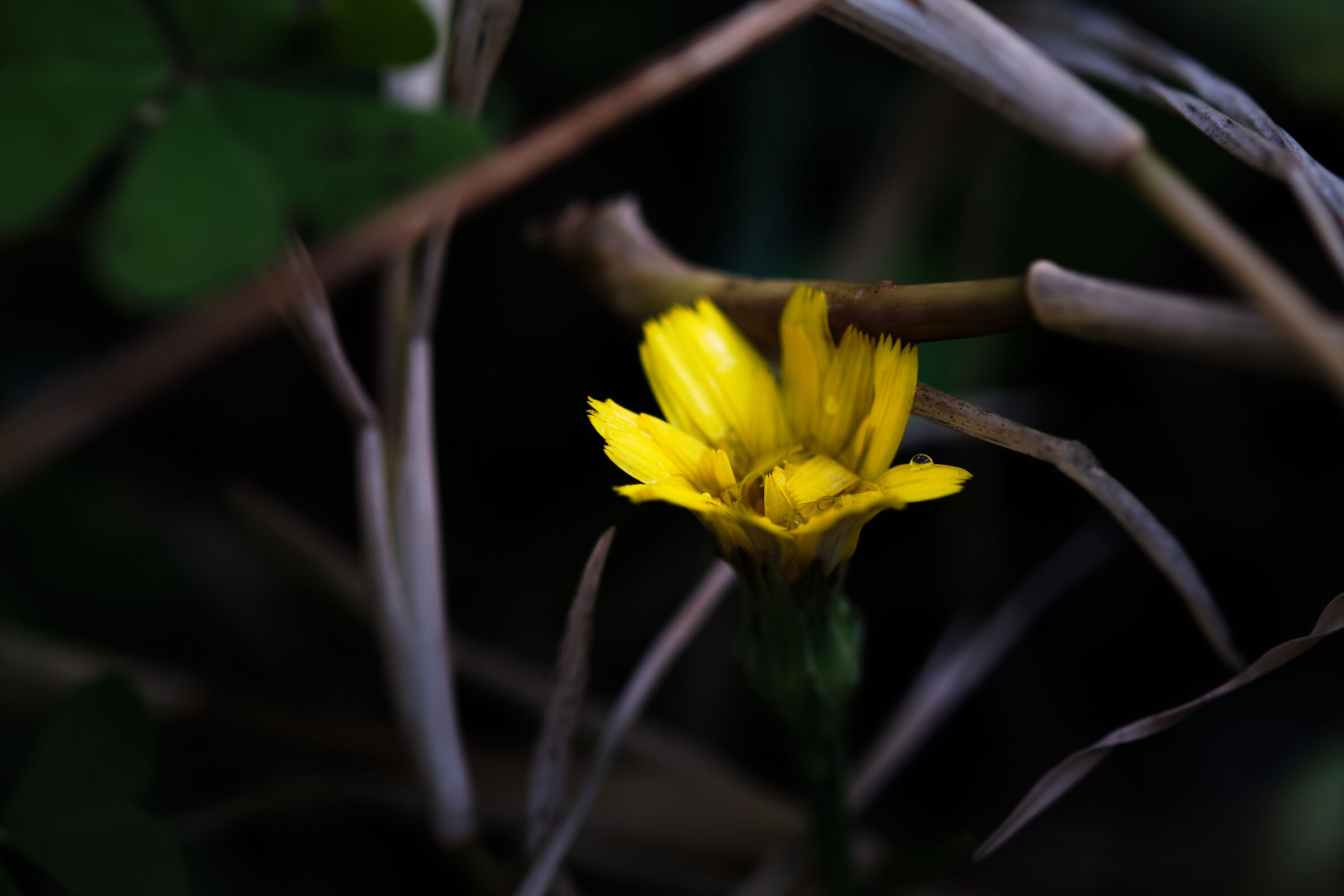 Untitled Photo