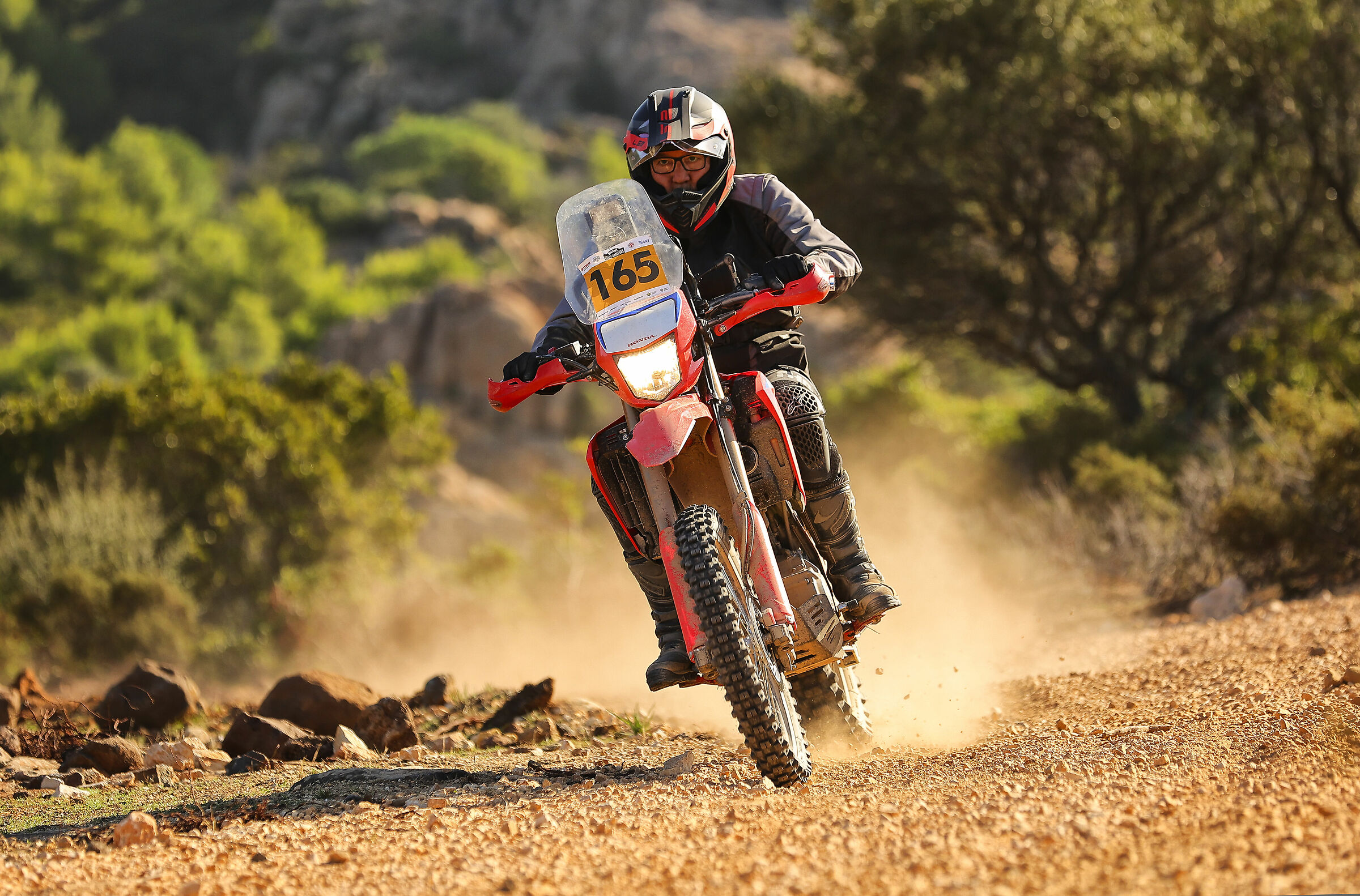 Swank Rally Sardinia