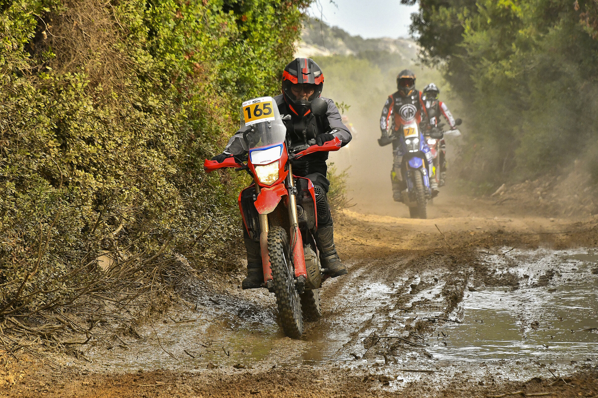 Swank Rally Sardegna
