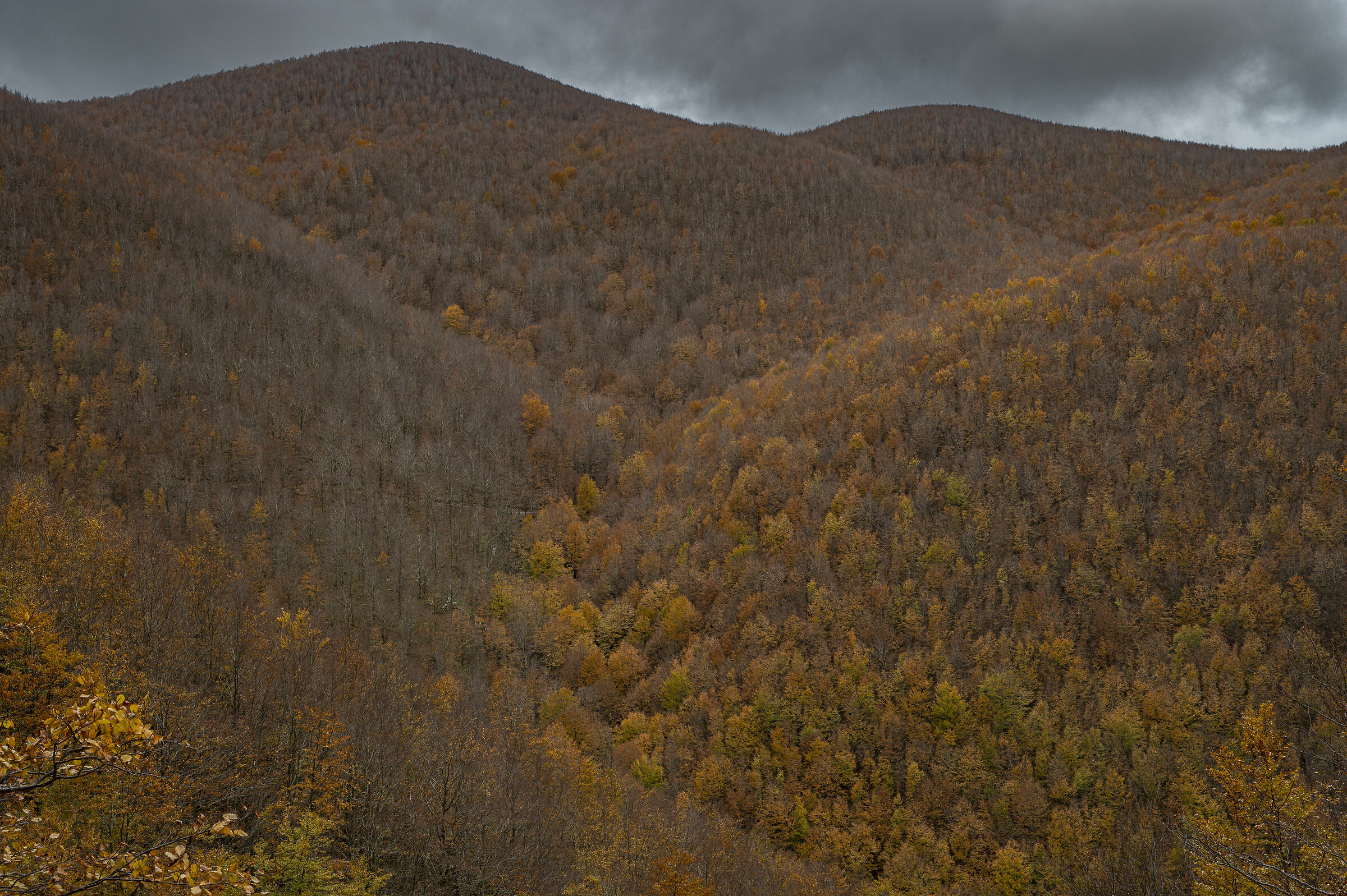 L'autunno lascia il posto all'inverno