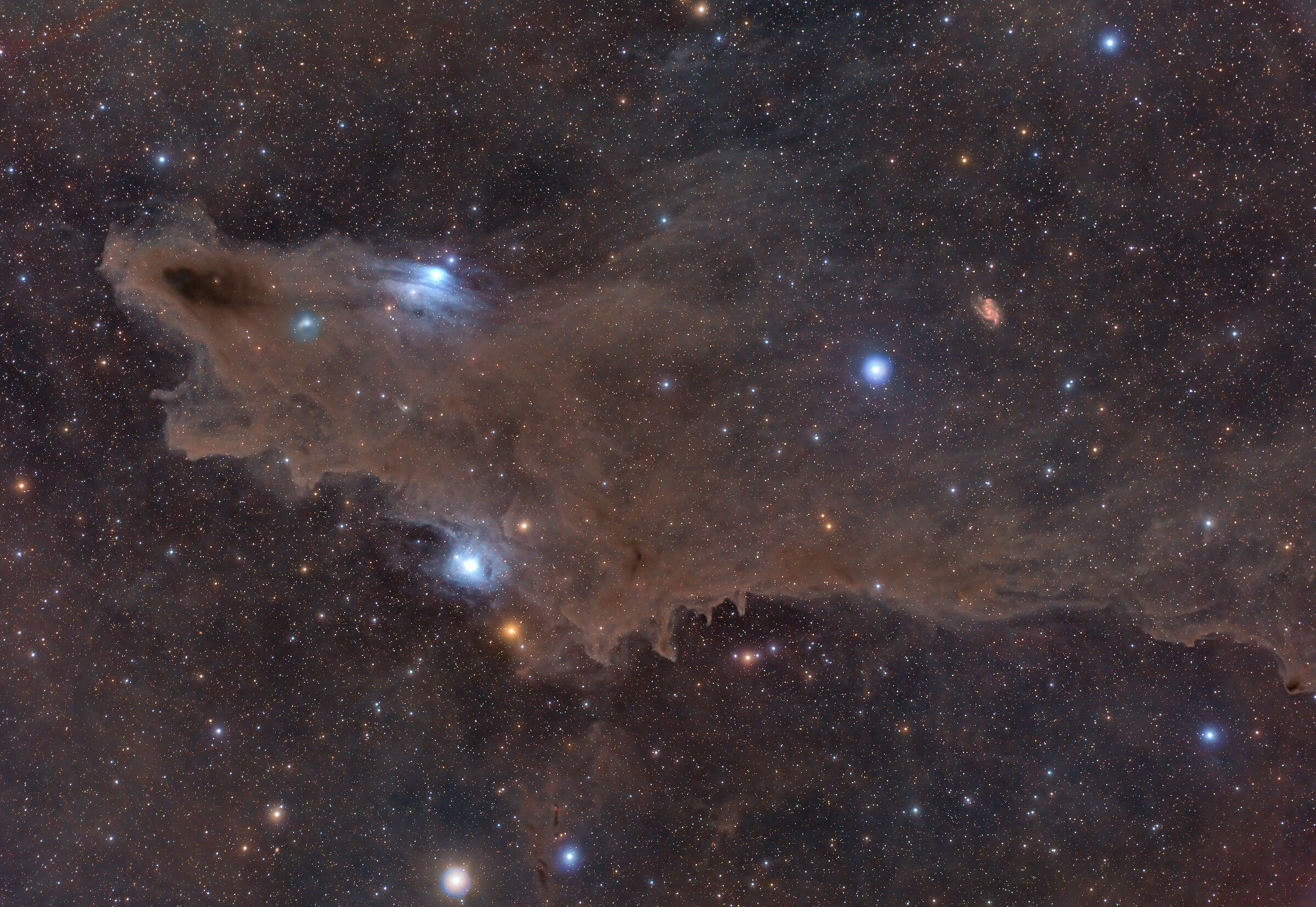 LDN1235 Shark Nebula