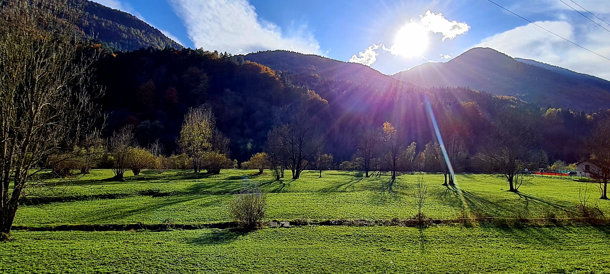 Autunno  in controluce