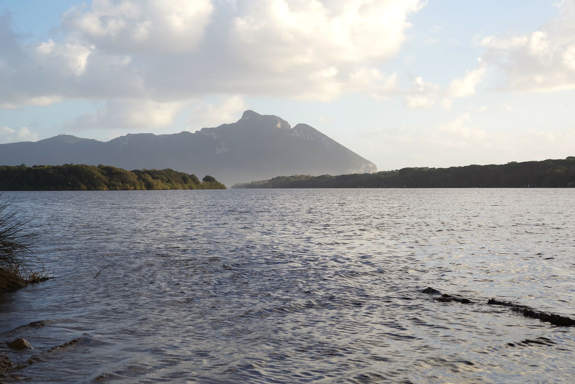 Lake Paola (Sabaudia)