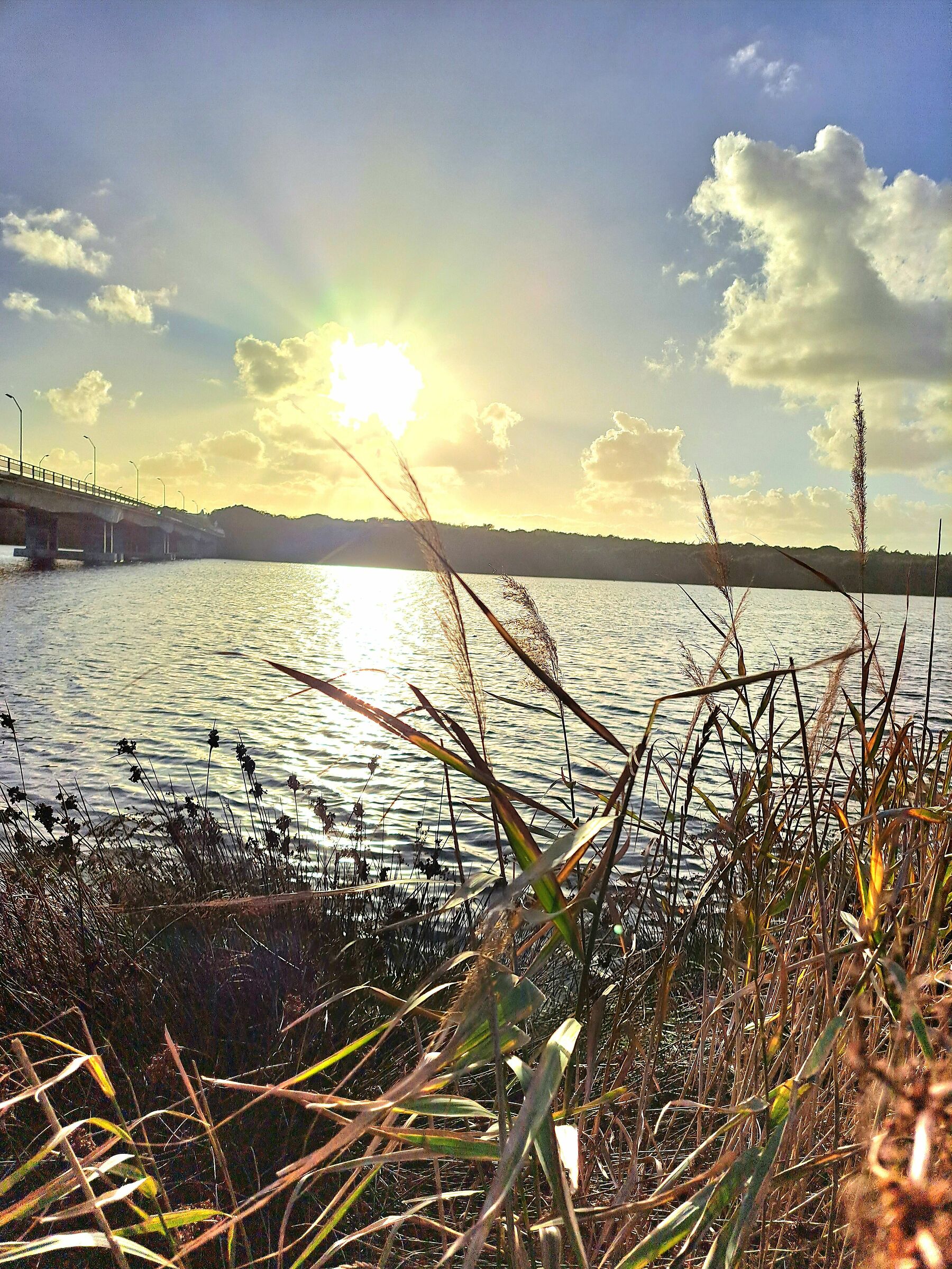 Sabaudia (Lake Paola)