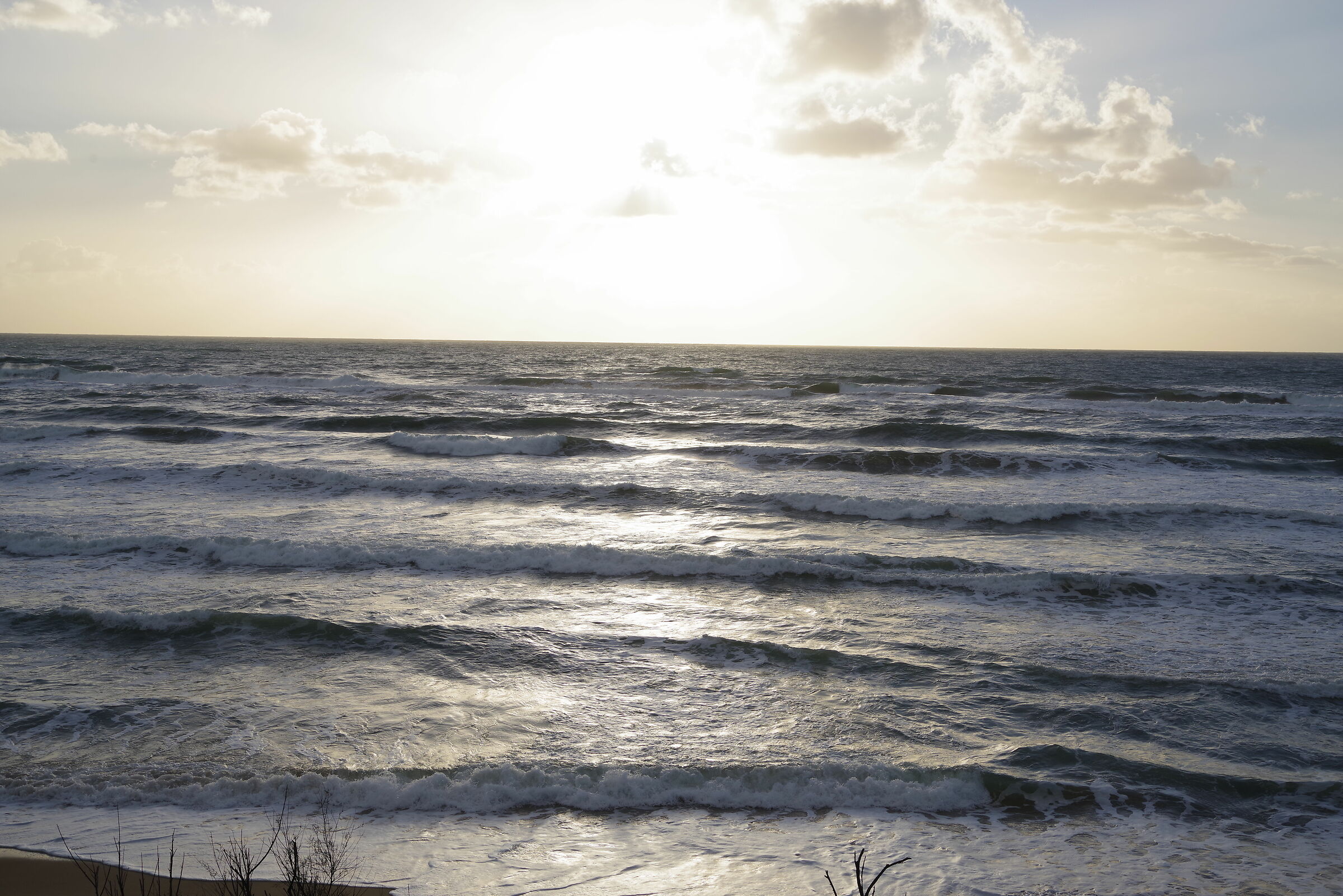 Spiaggia di Sabaudia (Latina)