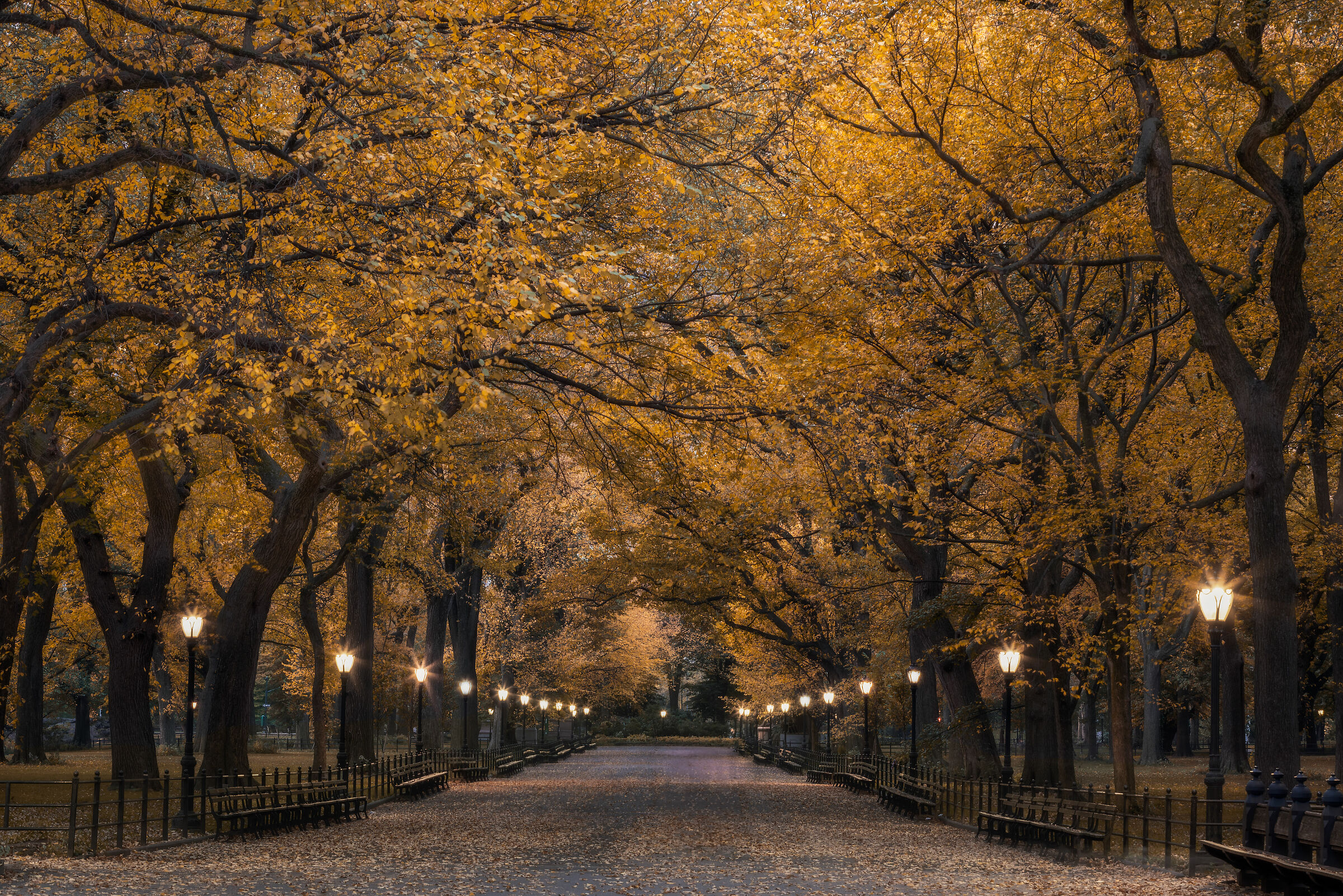 Central Park - New York