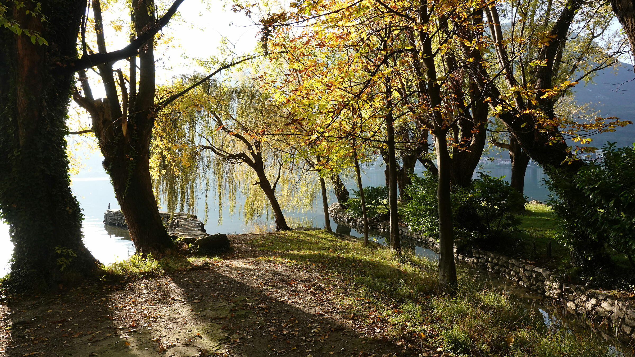 Autumn colours along Lake Garlate