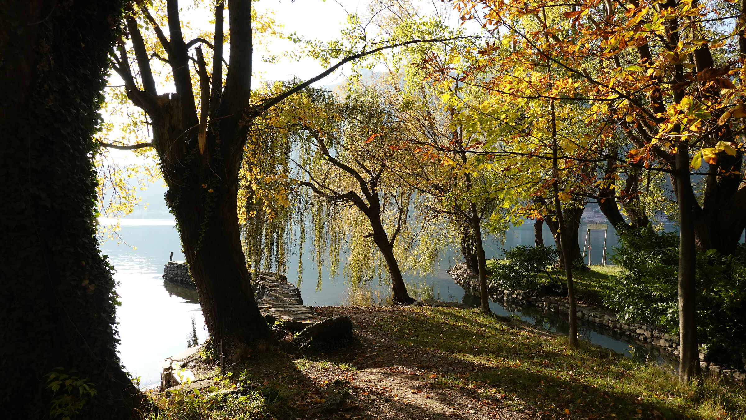 Autumn colours along Lake Garlate 2