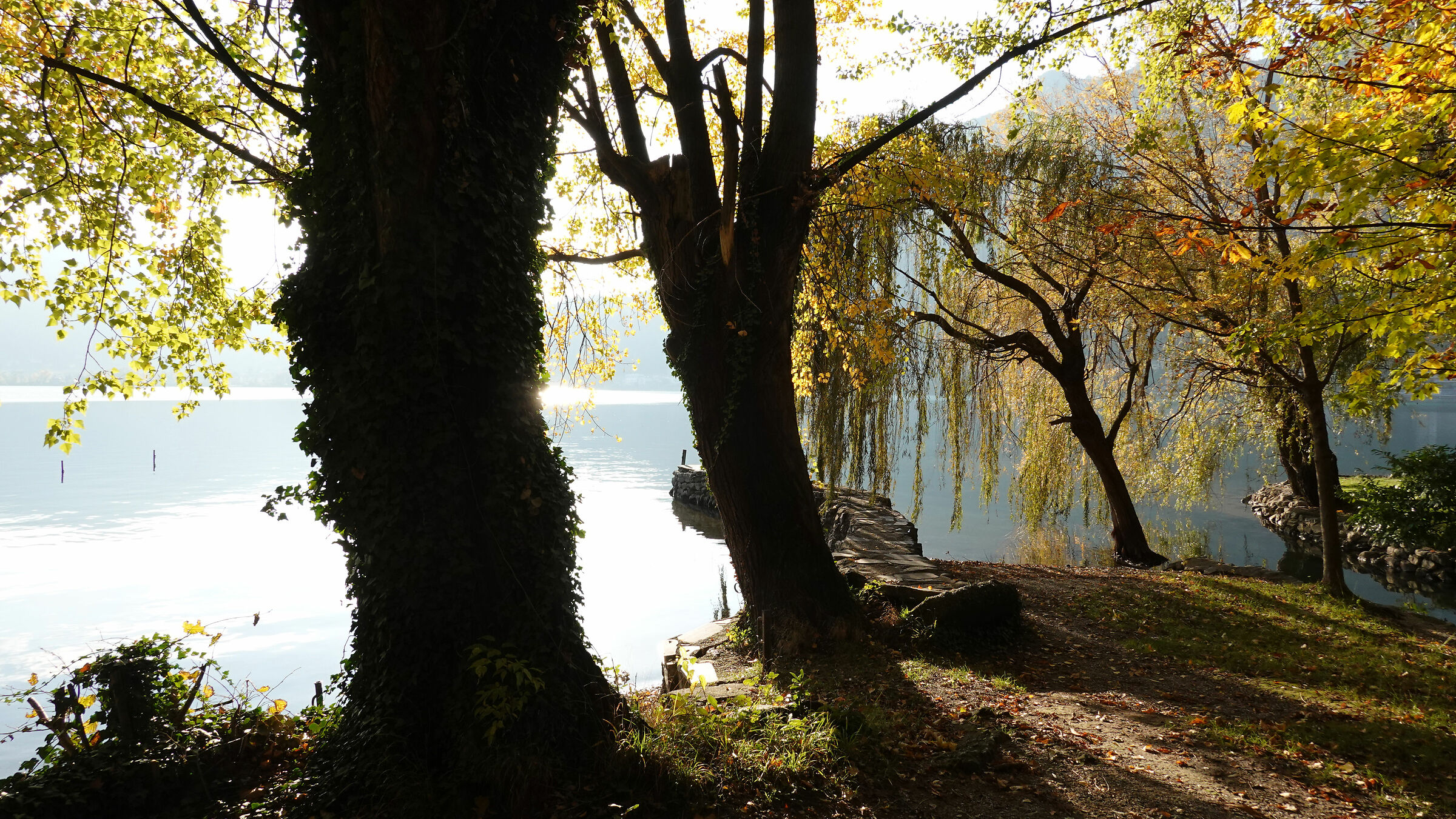 Autumn colours along Lake Garlate 3