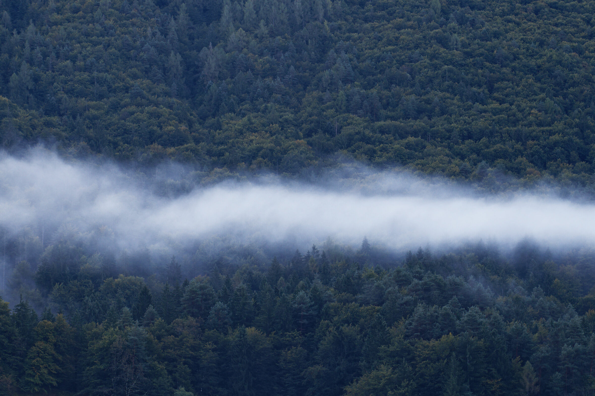 suggestioni d'autunno