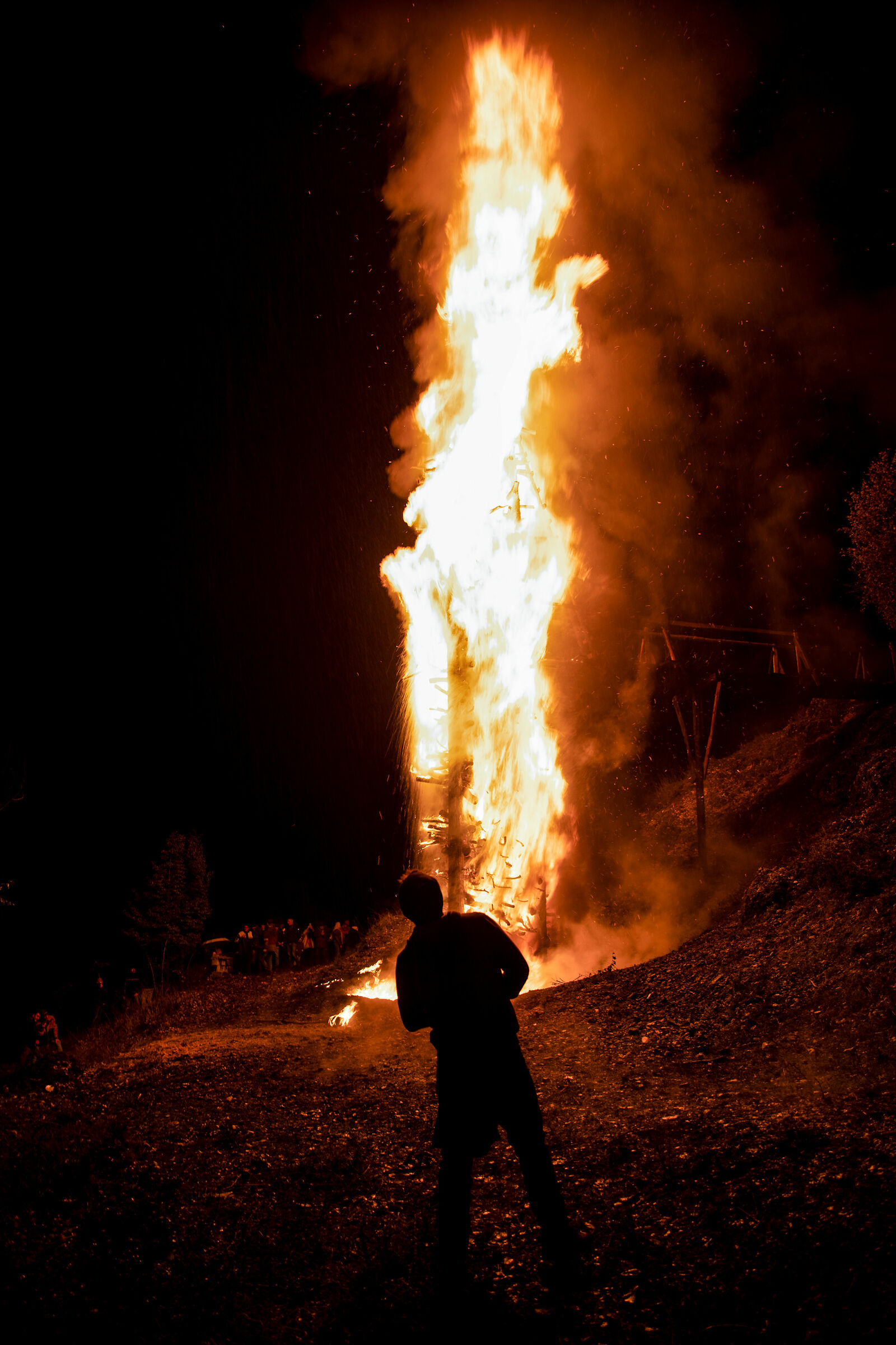 Gloria di cardella - Scanno AQ
