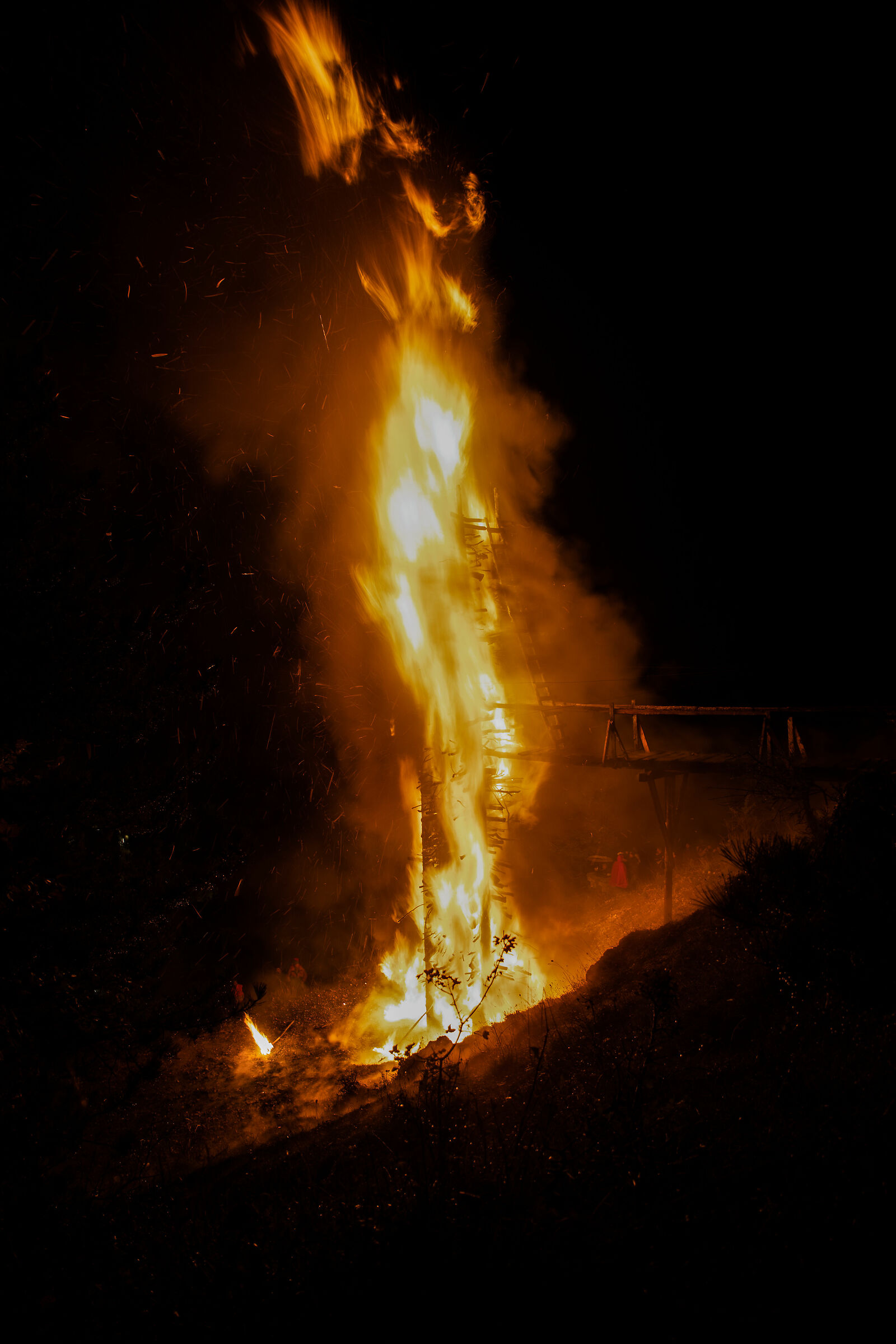 Gloria di cardella - Scanno AQ