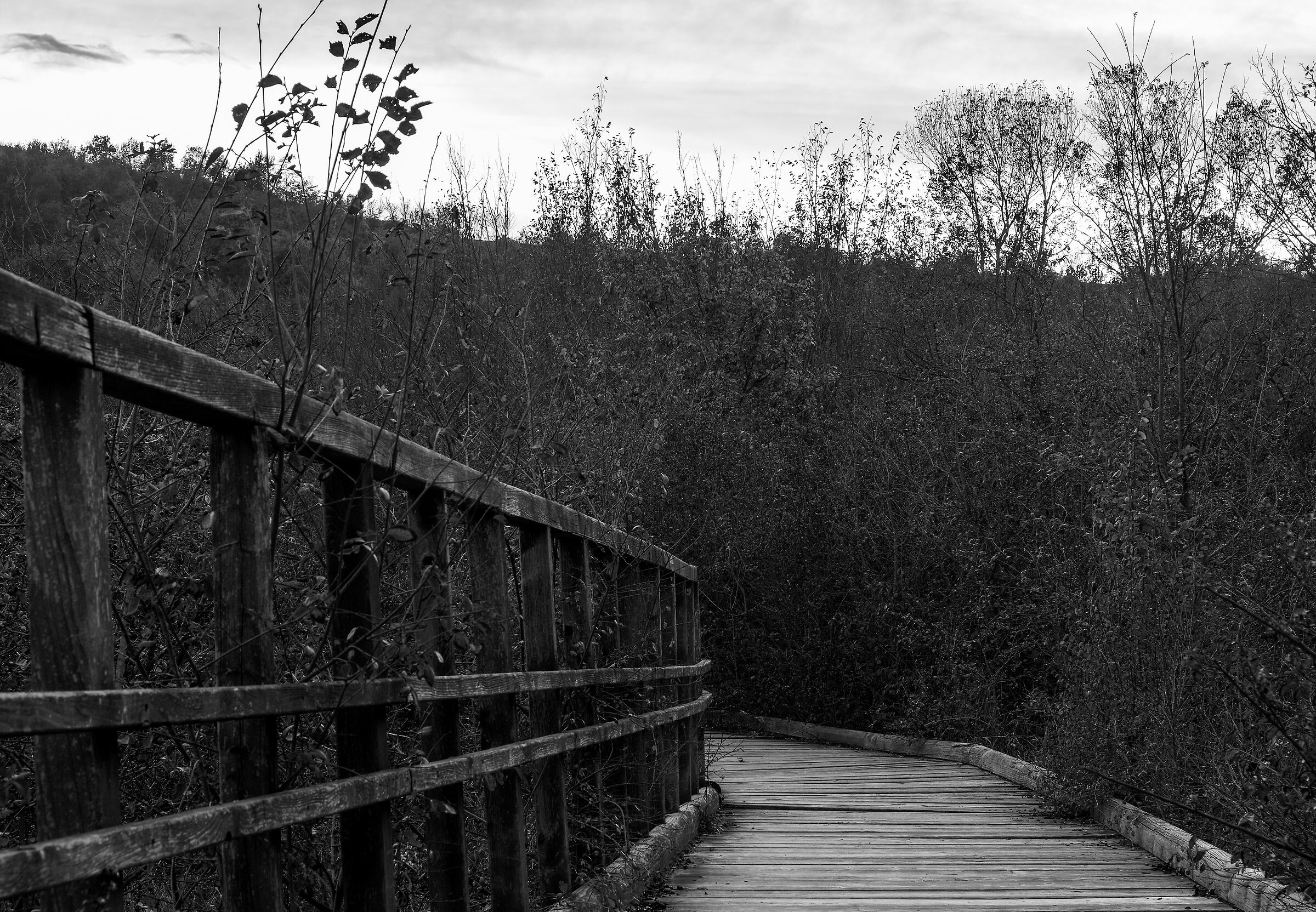 Passeggiando