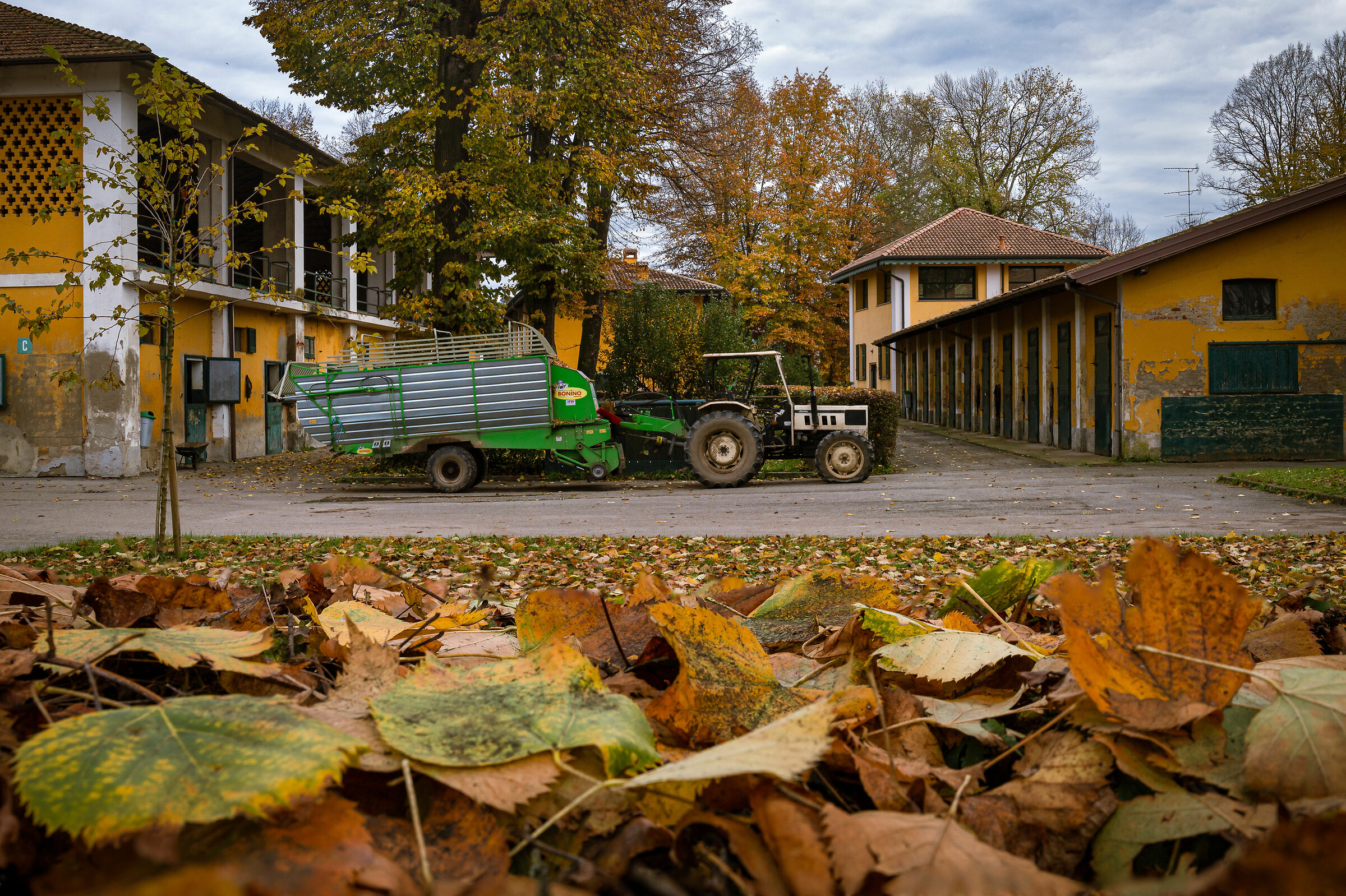 Centenate di Besnate