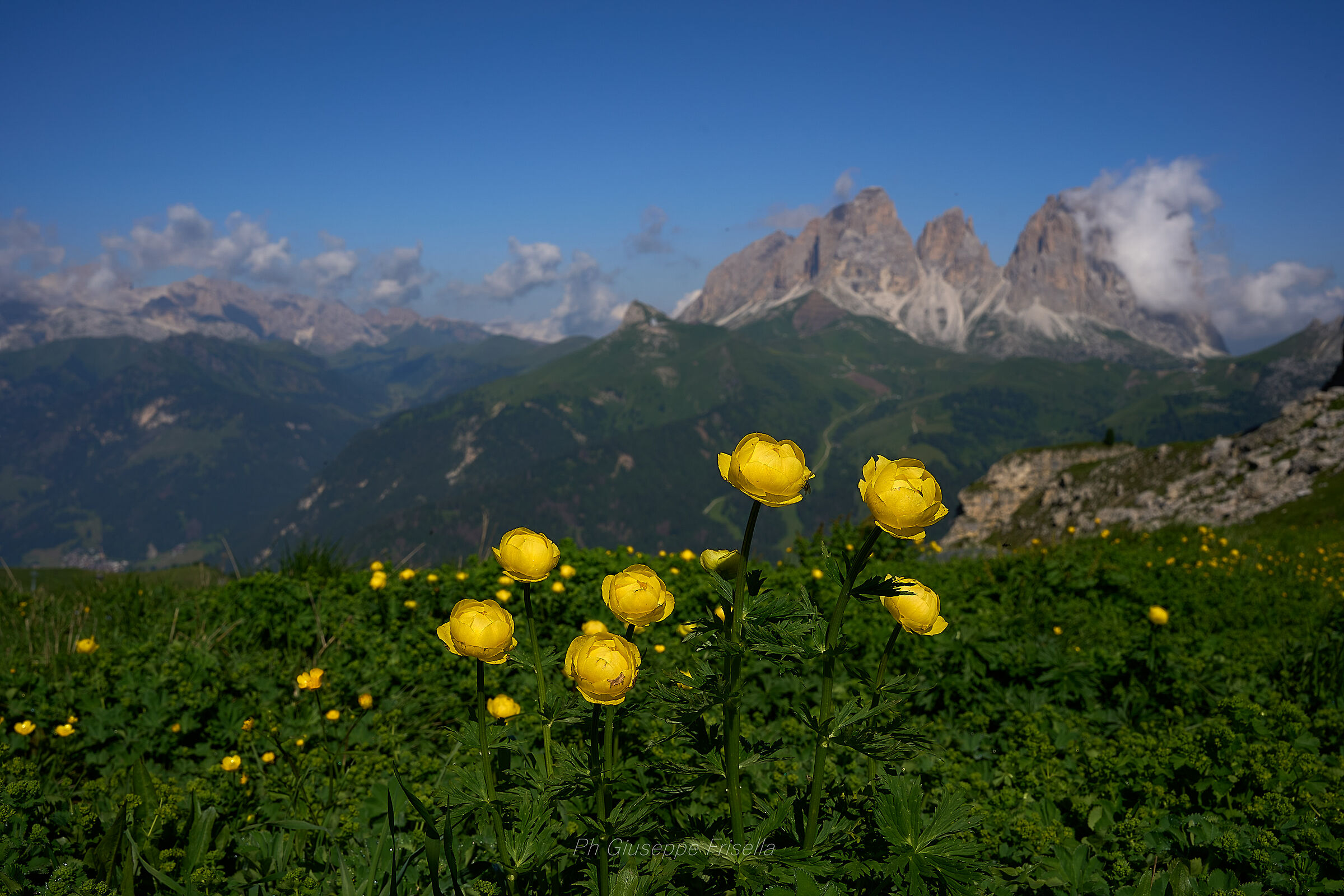 Sasso lungo e piatto in giallo