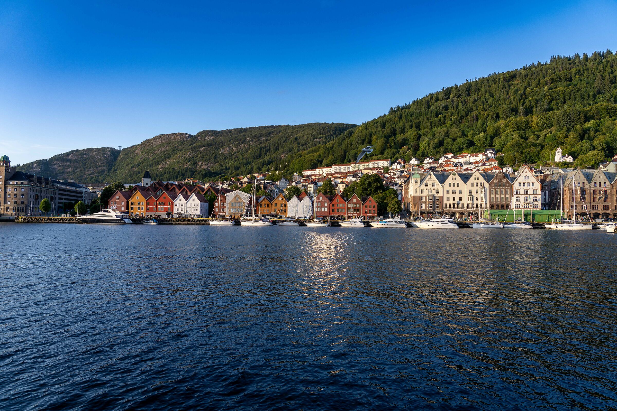Bergen