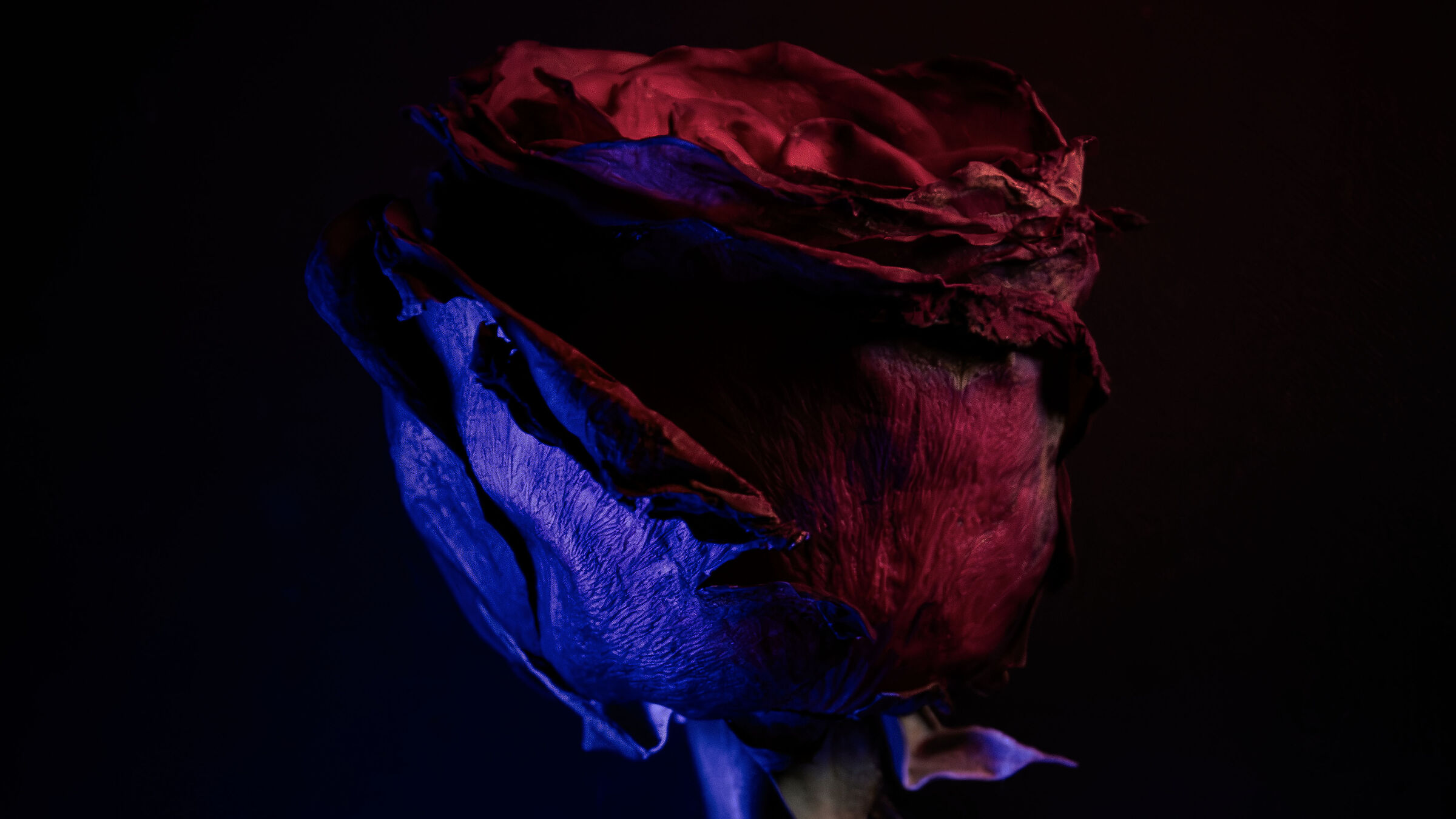 Quando non ho più blu, metto del rosso