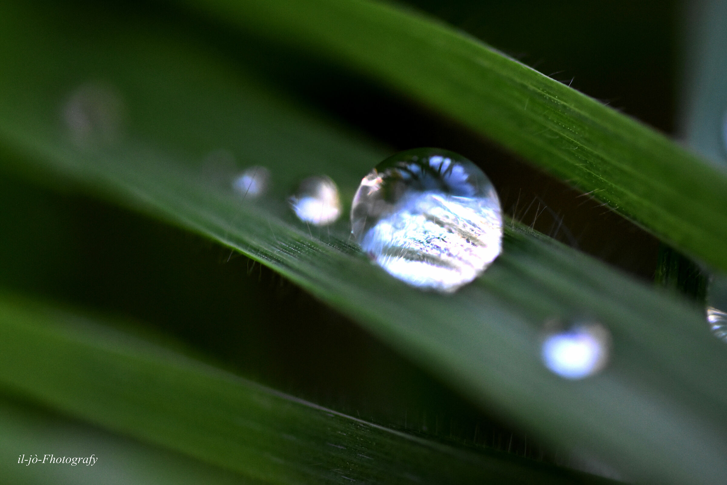 Untitled Photo